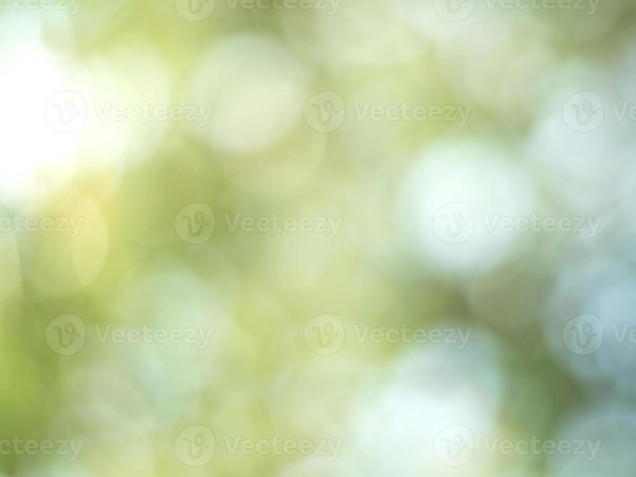 Natural outdoors bokeh background in green and yellow tones, Blurred green tree leaf background with bokeh photo