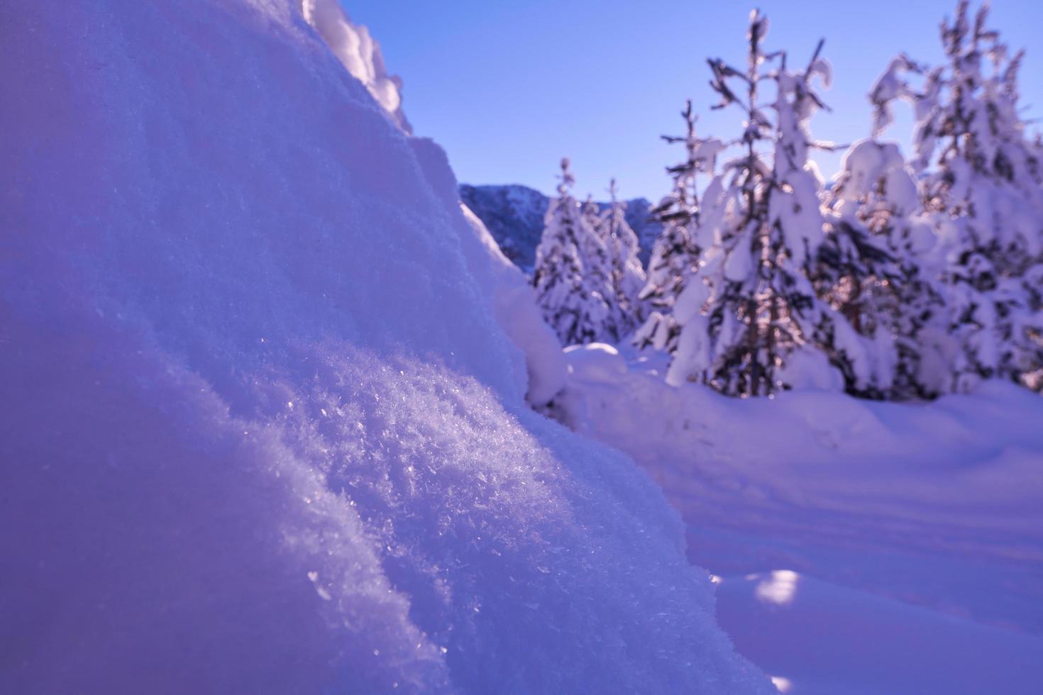 winter sunrise with fresh snow covered forest and mountains photo