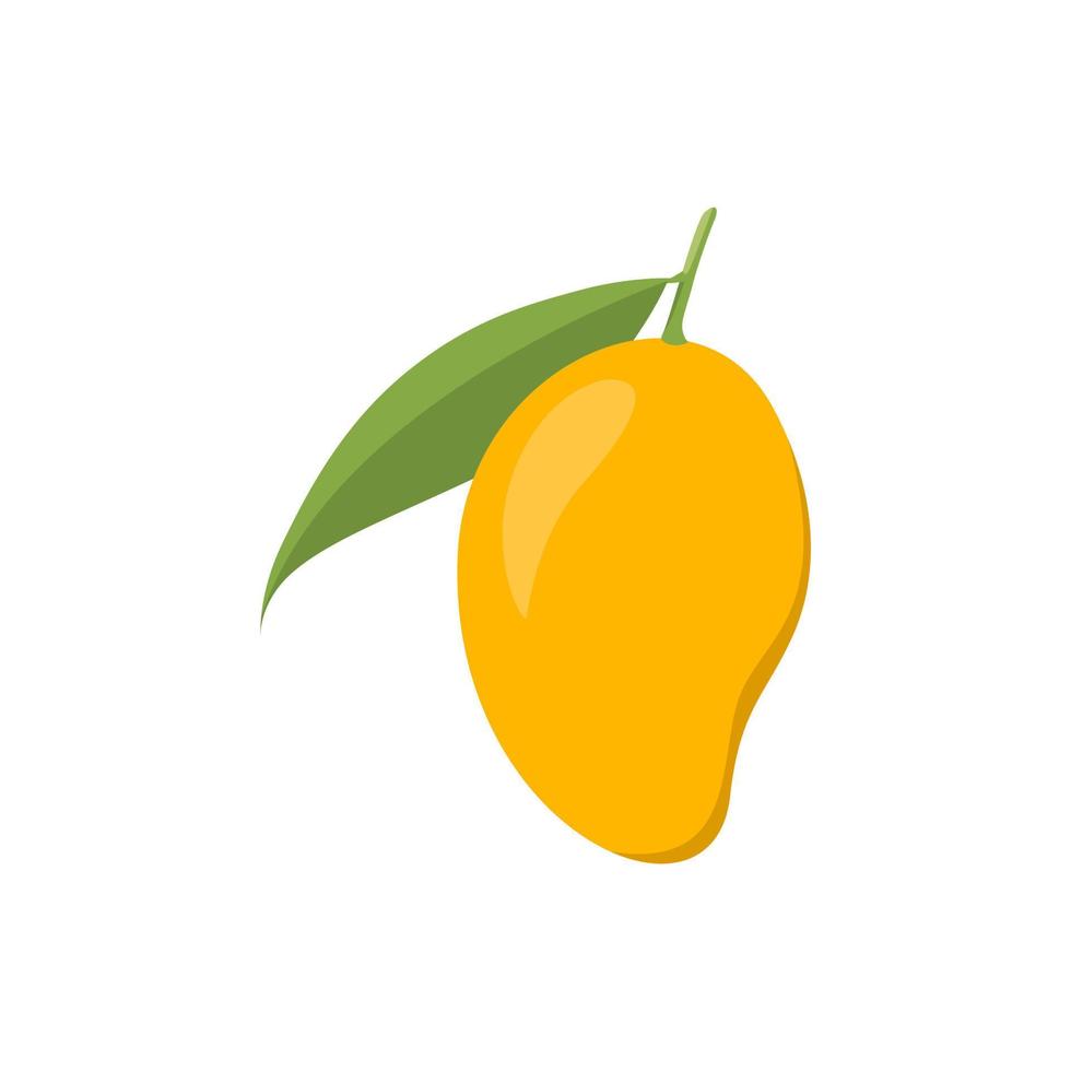 Vector stock mango simple illustration