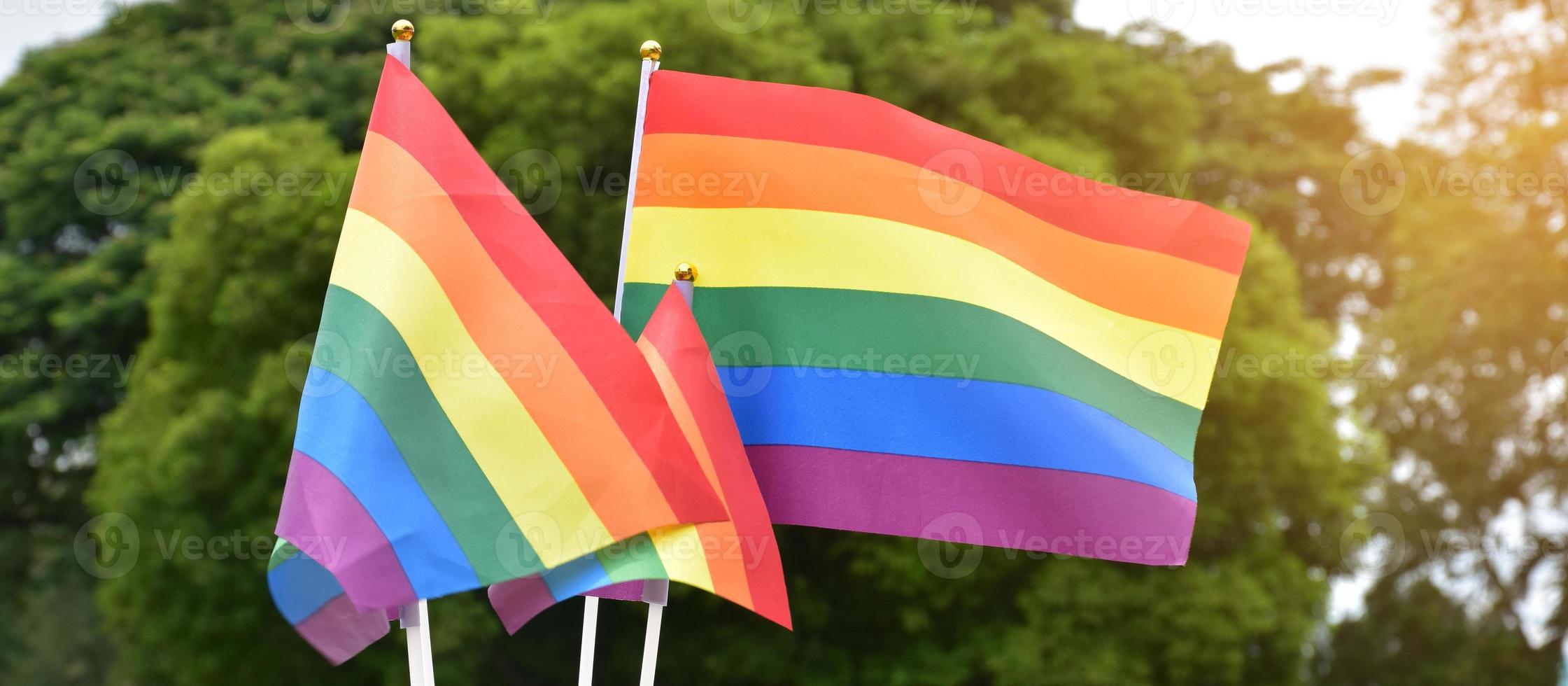 Rainbow flags, symbol of lgbt gender diversity, showing in front of grass court of school playground, blurred building background, concept for lgbt celebrations in pride month, june, over the world. photo