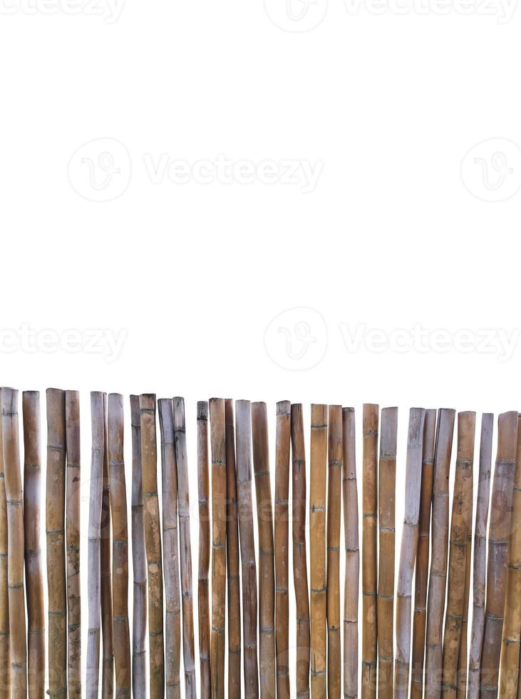 Isolated dried thyrsostachys siamensis segment with clipping paths. photo