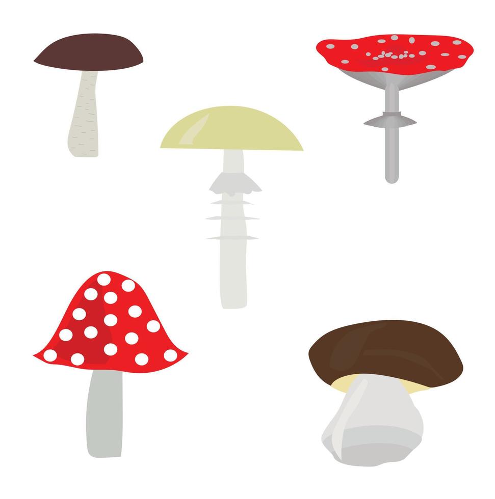 Set of mushrooms in cartoon style. Vector illustration isolated on white background.