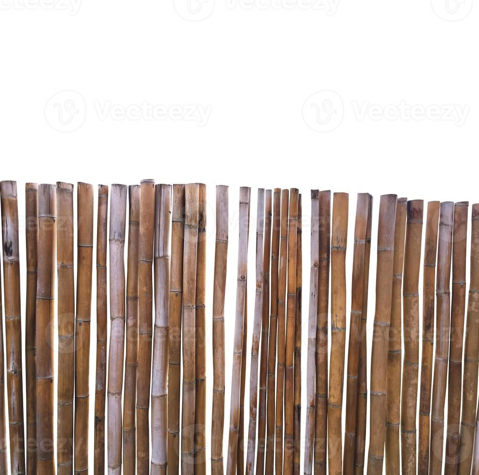 Isolated dried thyrsostachys siamensis segment with clipping paths. photo