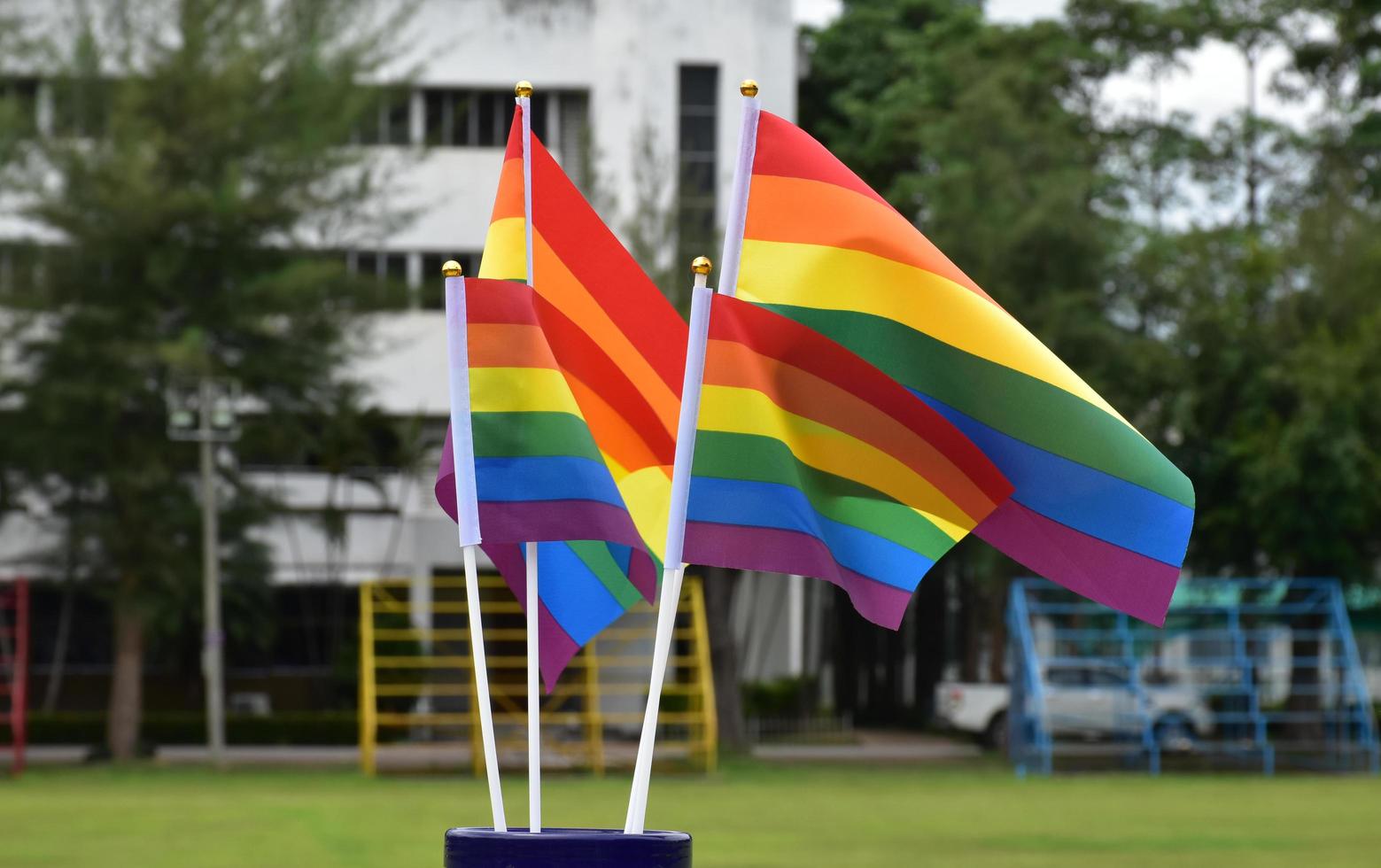 Rainbow flags, symbol of lgbt gender diversity, showing in front of grass court of school playground, blurred building background, concept for lgbt celebrations in pride month, june, over the world. photo