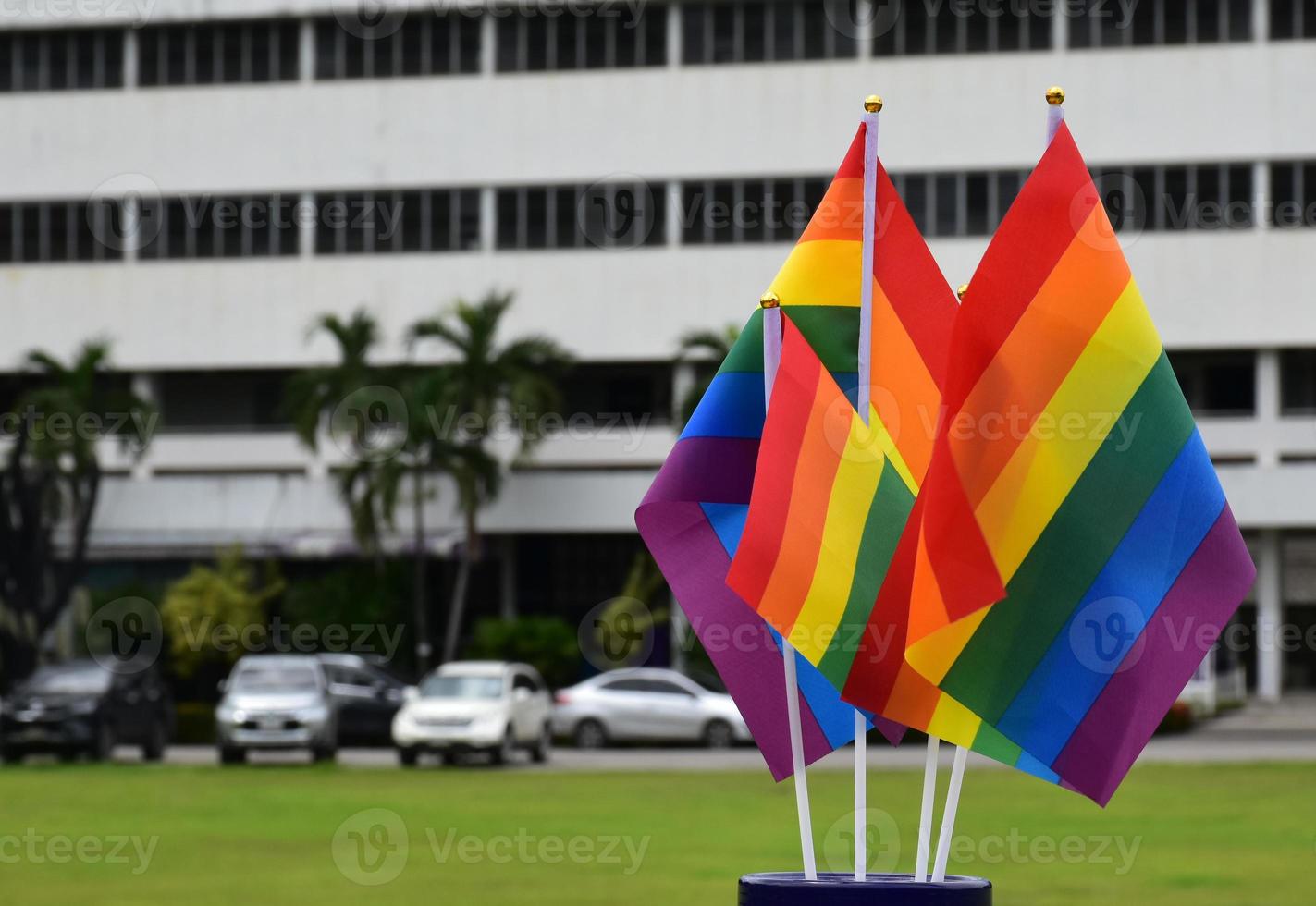 Rainbow flags, symbol of lgbt gender diversity, showing in front of grass court of school playground, blurred building background, concept for lgbt celebrations in pride month, june, over the world. photo