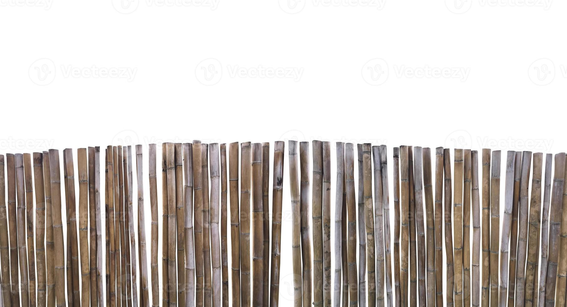 Isolated dried thyrsostachys siamensis segment with clipping paths. photo