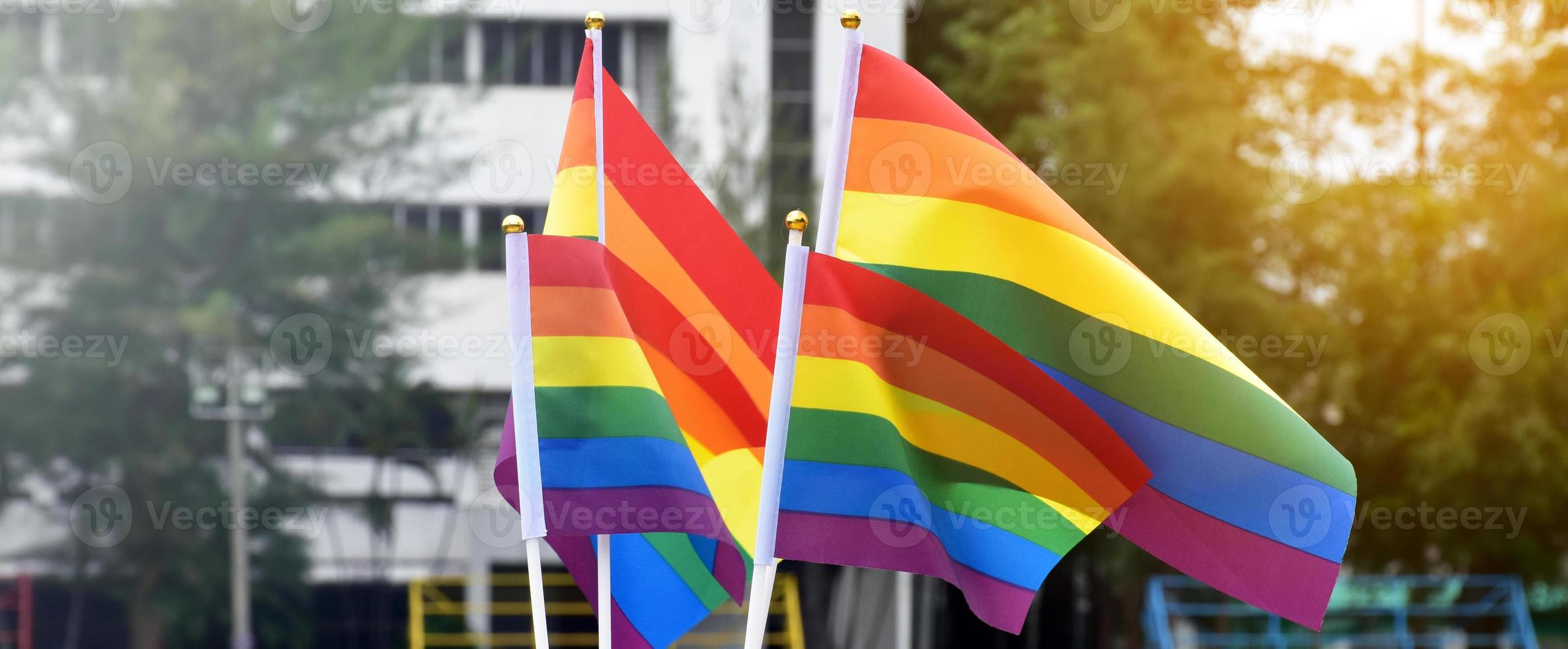 Rainbow flags, symbol of lgbt gender diversity, showing in front of grass court of school playground, blurred building background, concept for lgbt celebrations in pride month, june, over the world. photo