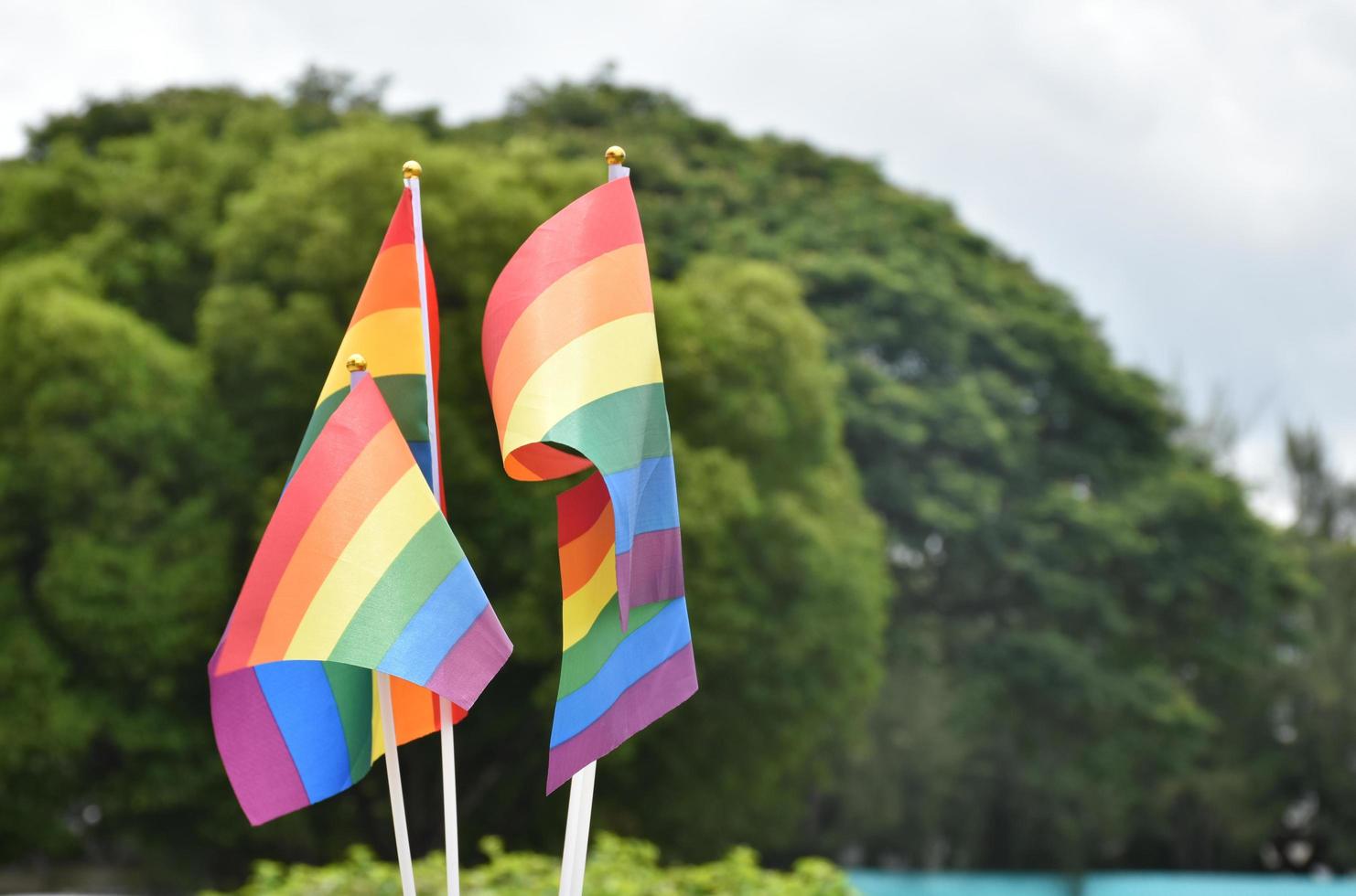 Rainbow flags, symbol of lgbt gender diversity, showing in front of grass court of school playground, blurred building background, concept for lgbt celebrations in pride month, june, over the world. photo