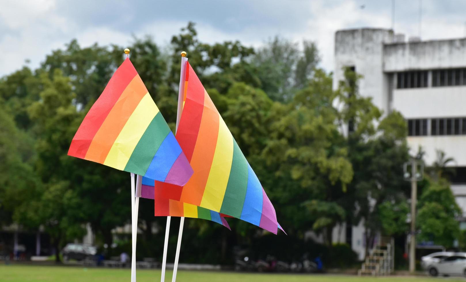 Rainbow flags, symbol of lgbt gender diversity, showing in front of grass court of school playground, blurred building background, concept for lgbt celebrations in pride month, june, over the world. photo