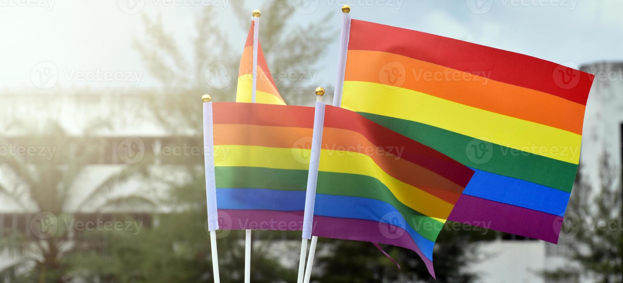 Rainbow flags, symbol of lgbt gender diversity, showing in front of grass court of school playground, blurred building background, concept for lgbt celebrations in pride month, june, over the world. photo