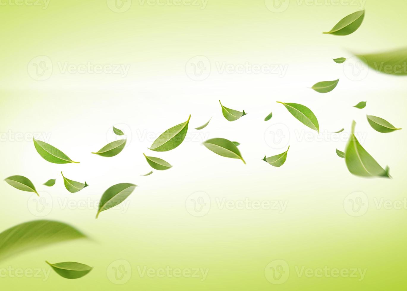 Flying whirl green leaves in the air, Healthy products by organic natural ingredients concept, Empty space in studio shot on green background long banner photo