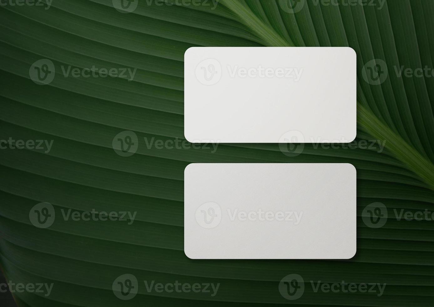 Minimal business card mockup on leaves photo