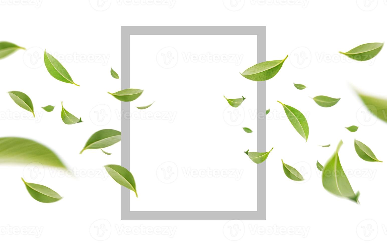 Creative modern card design of flying whirl green leaves in the air with paper border, Nature concept by tea leaf, Flat lay photo