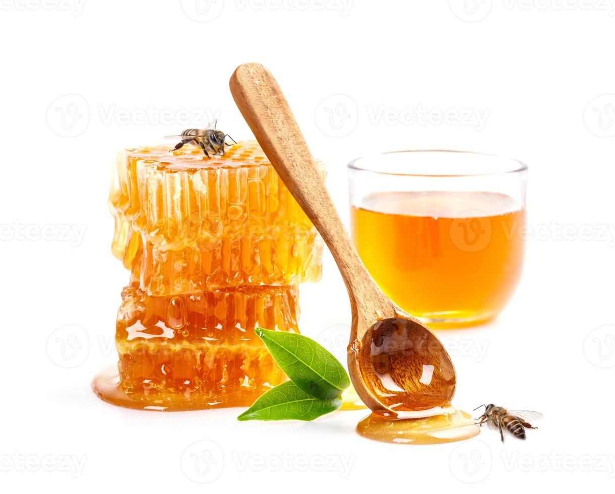 panal con abeja y cuchara de miel aislado sobre fondo de pancarta blanca, productos de abeja por concepto de ingredientes naturales orgánicos foto