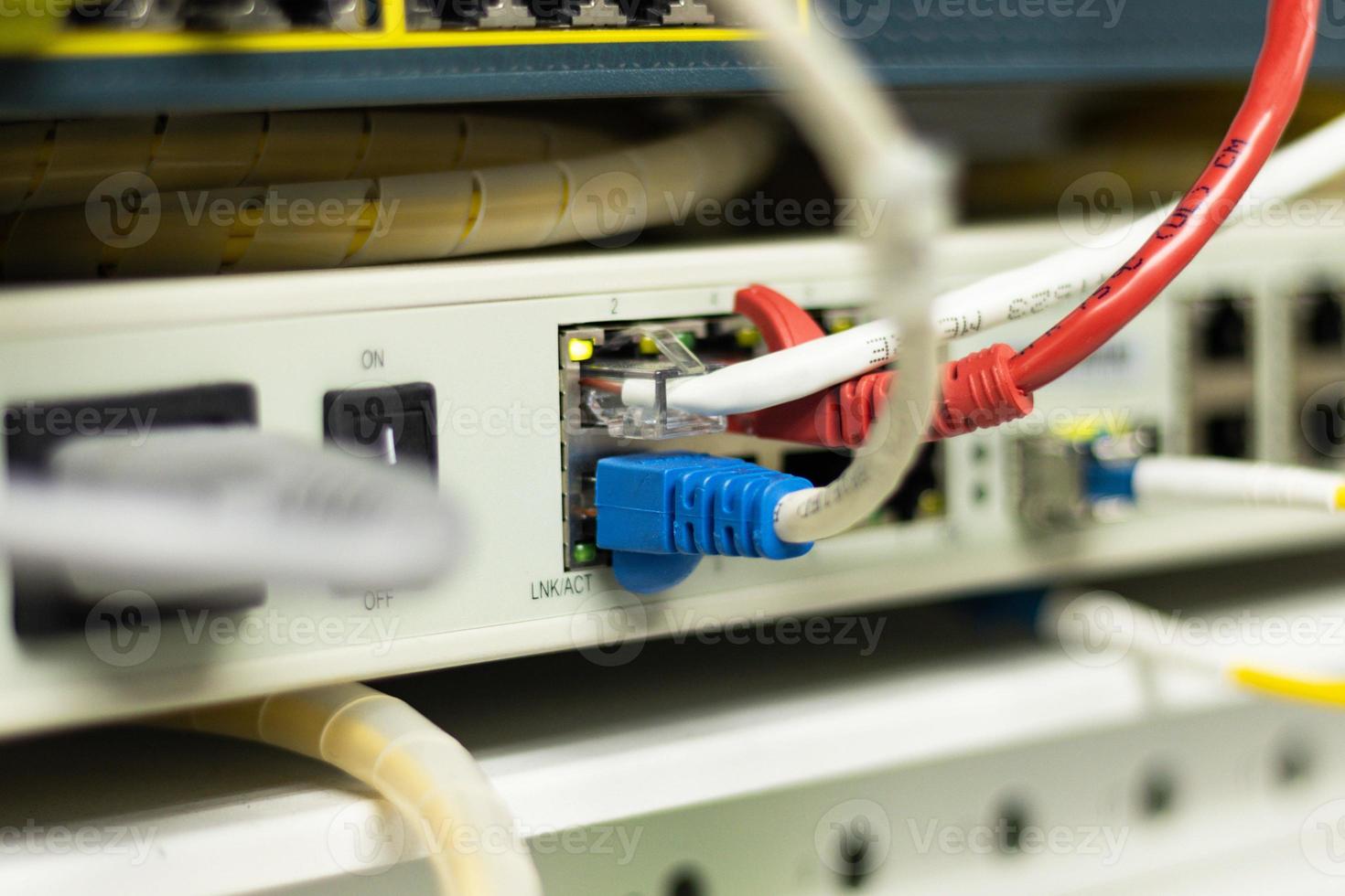 The network cables to connect the port of a switch to connect internet network, concept Communication technology photo