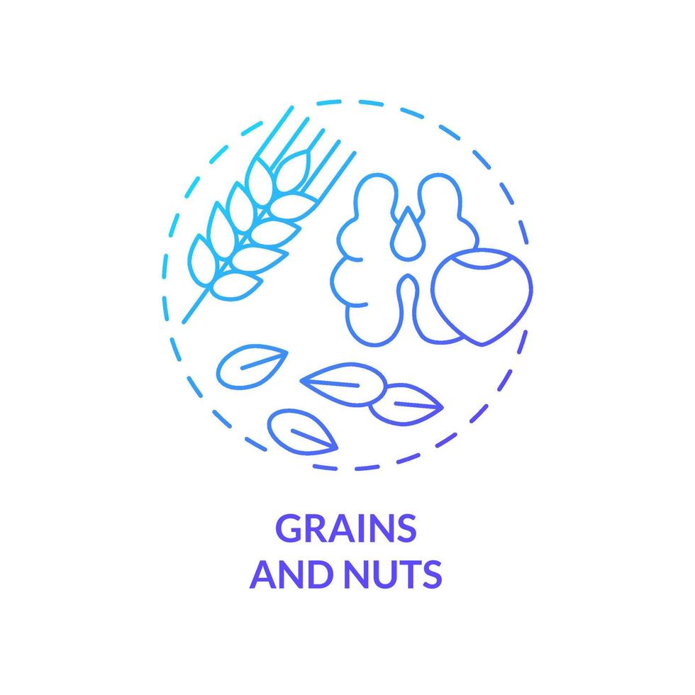 Grains and nuts blue gradient concept icon. Food for healthy bones abstract idea thin line illustration. Osteoporosis risk prevention. Isolated outline drawing. Myriad Pro-Bold font used vector