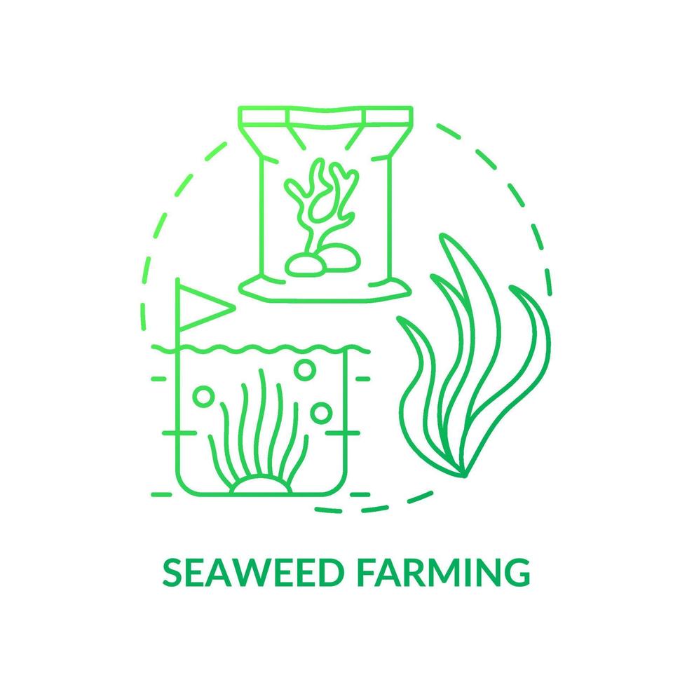 Seaweed farming green gradient concept icon. Nutritious food production. Agricultural trends abstract idea thin line illustration. Isolated outline drawing. Myriad Pro-Bold font used vector