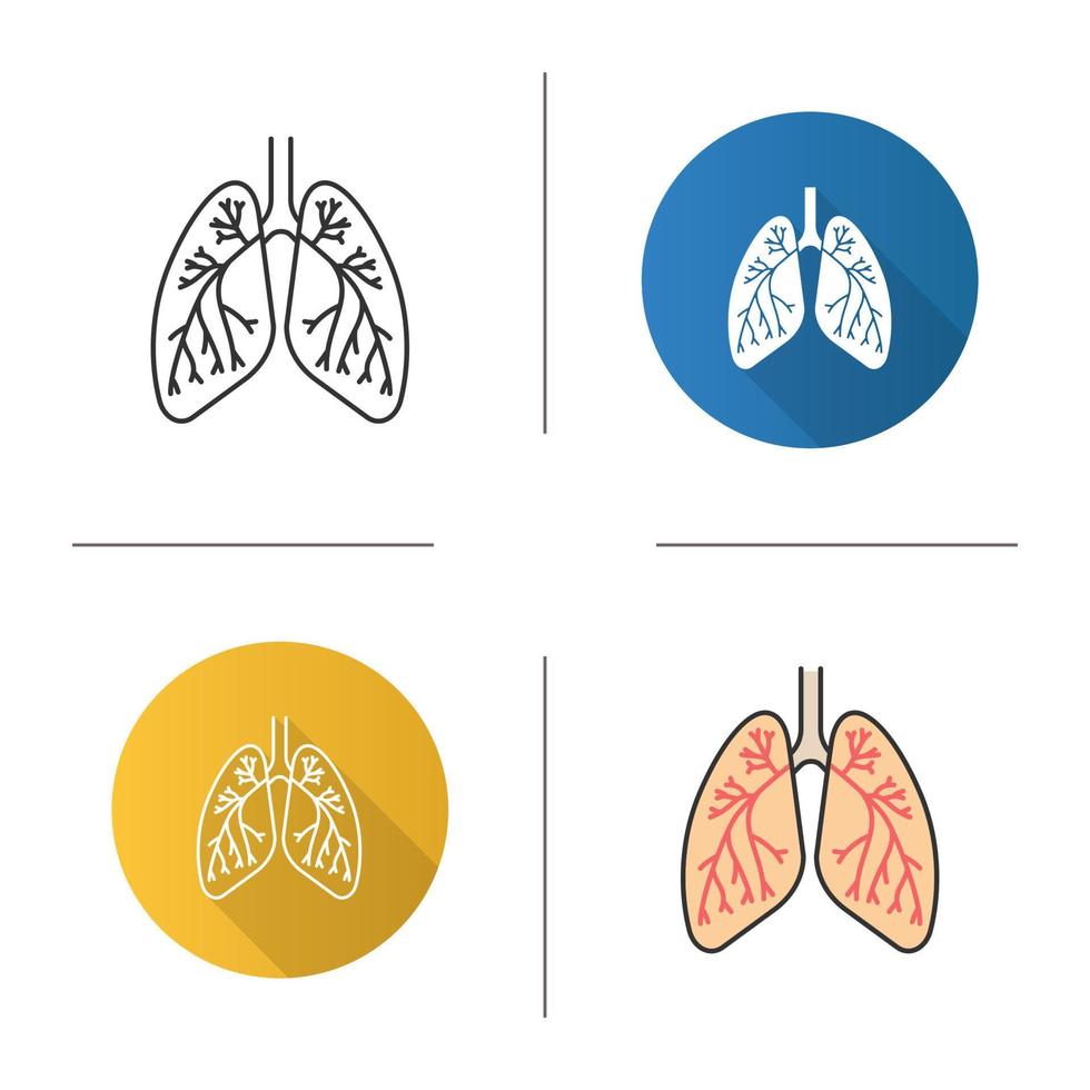 pulmones humanos con icono de bronquios y bronquiolos. anatomía del sistema respiratorio. Diseño plano, estilos lineales y de color. ilustraciones de vectores aislados