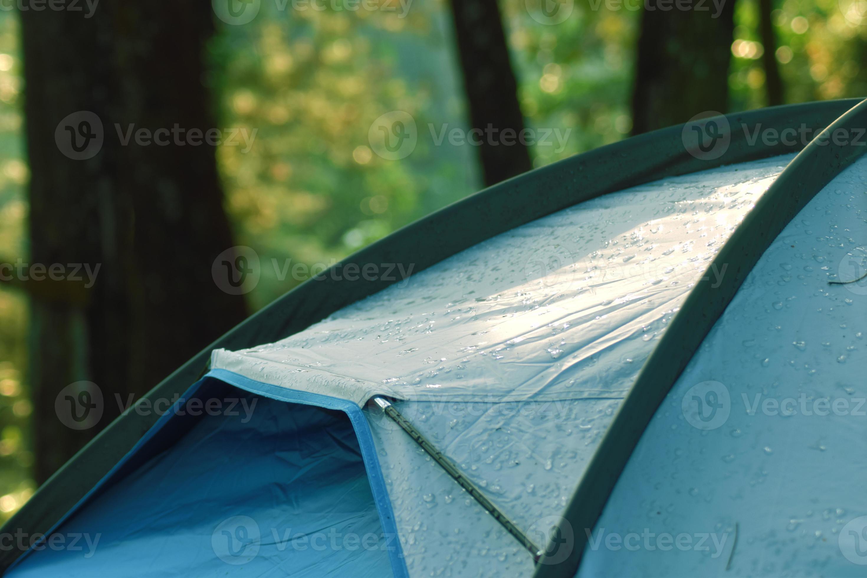 top of tent photo in the forest 11606170 Stock Photo at Vecteezy
