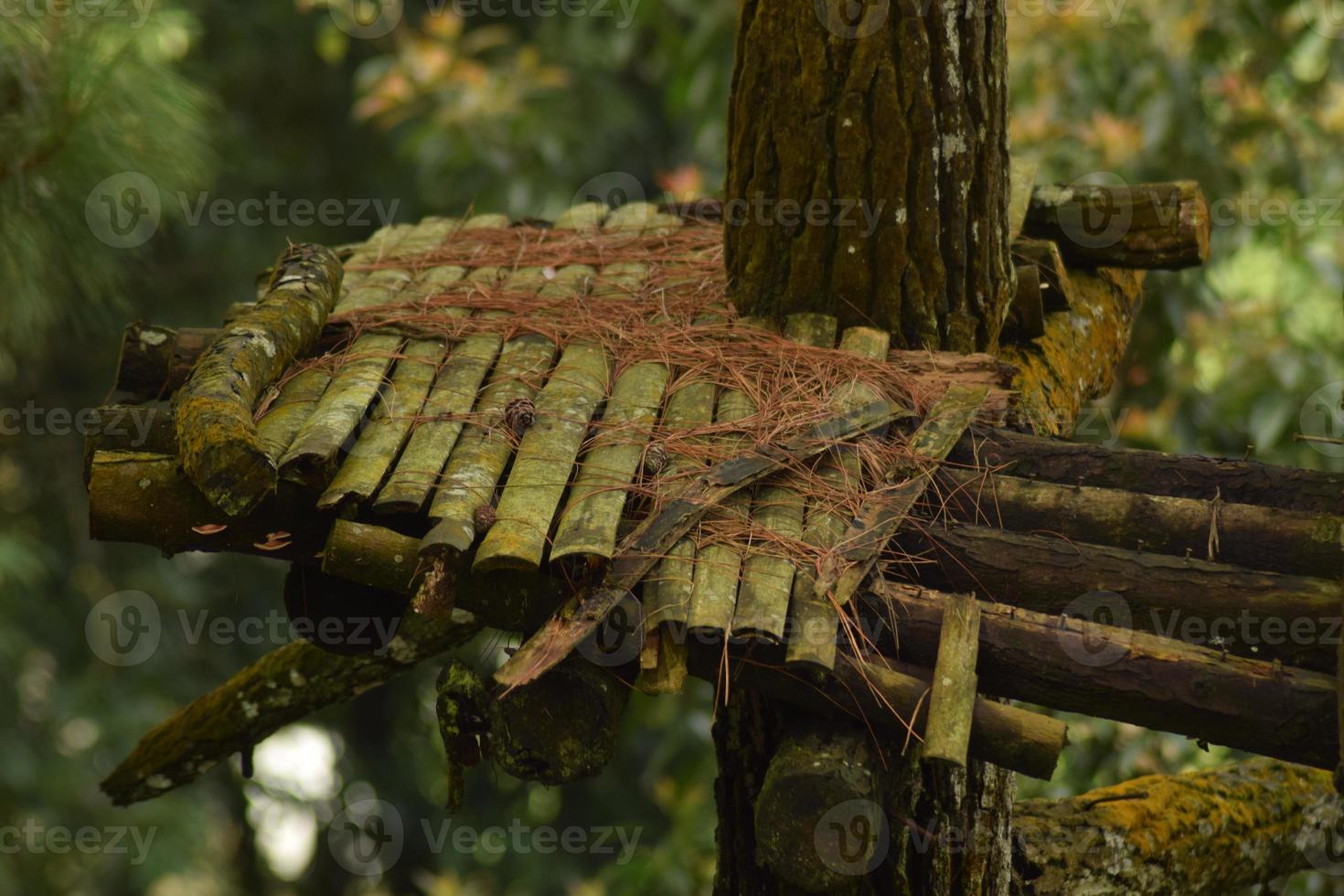 bamboo balcony in the forest photo