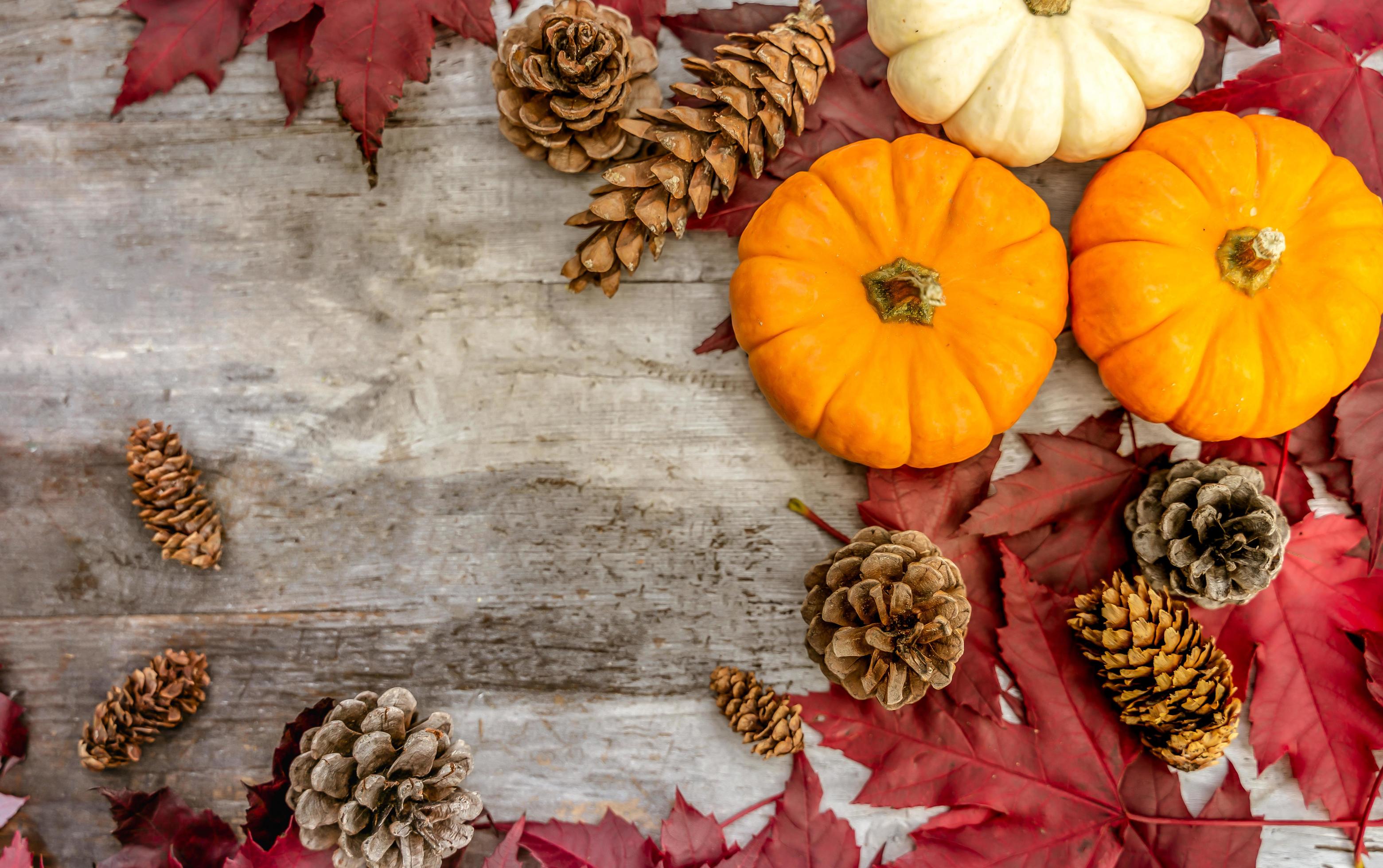 Festive autumn decor from pumpkins, pine and leaves on a wooden ...