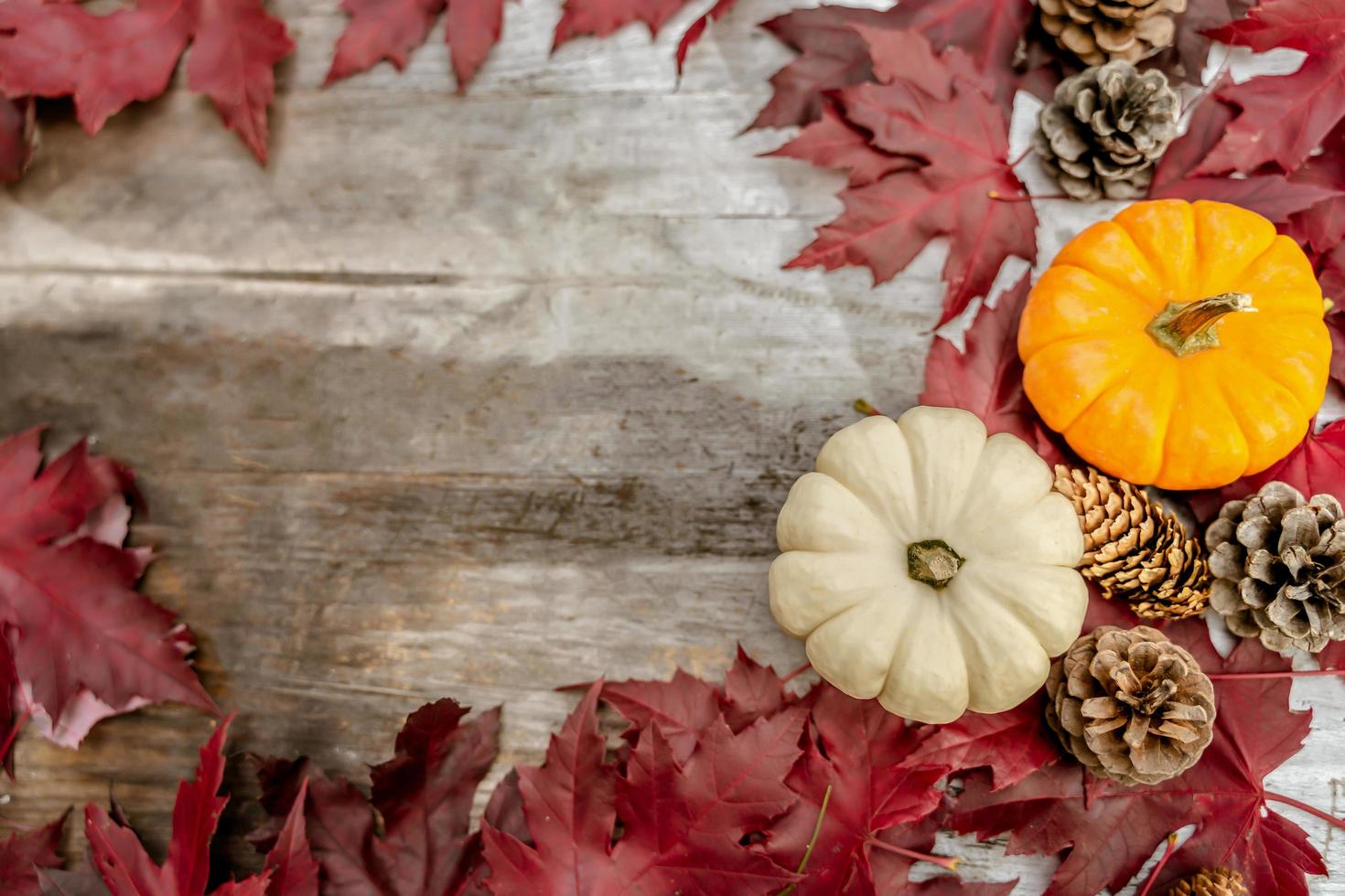 Festive autumn decor from pumpkins, pine and leaves on a  wooden background. Concept of Thanksgiving day or Halloween. Flat lay autumn composition with copy space. photo