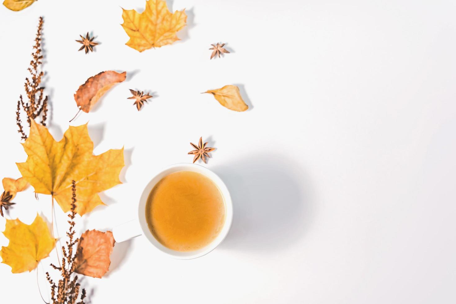 concepto de otoño o invierno con hojas de pino y arce, taza de café, canela y bufanda, puesta plana, vista superior. foto