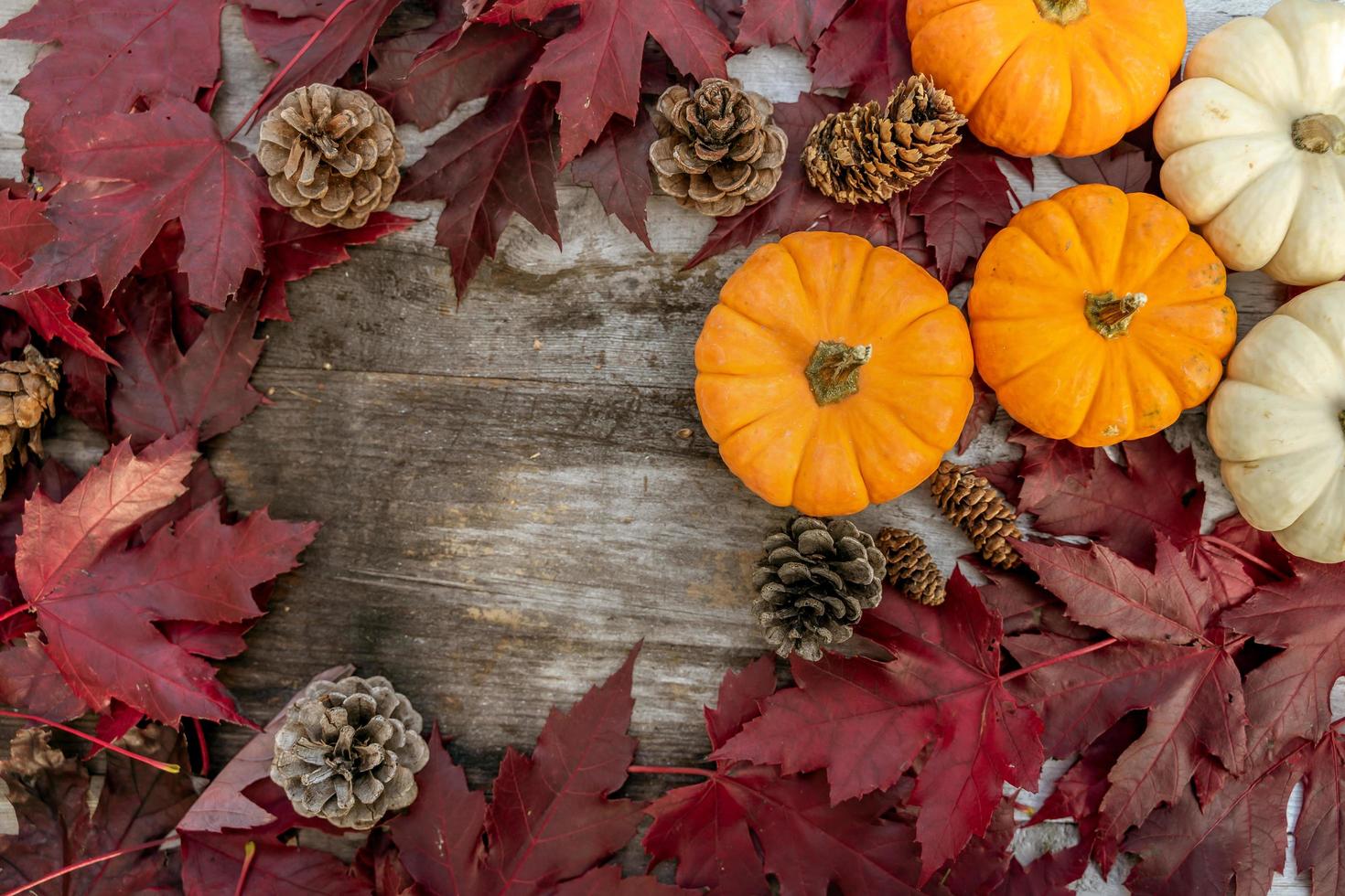 Festive autumn decor from pumpkins, pine and leaves on a  wooden background. Concept of Thanksgiving day or Halloween. Flat lay autumn composition with copy space. photo