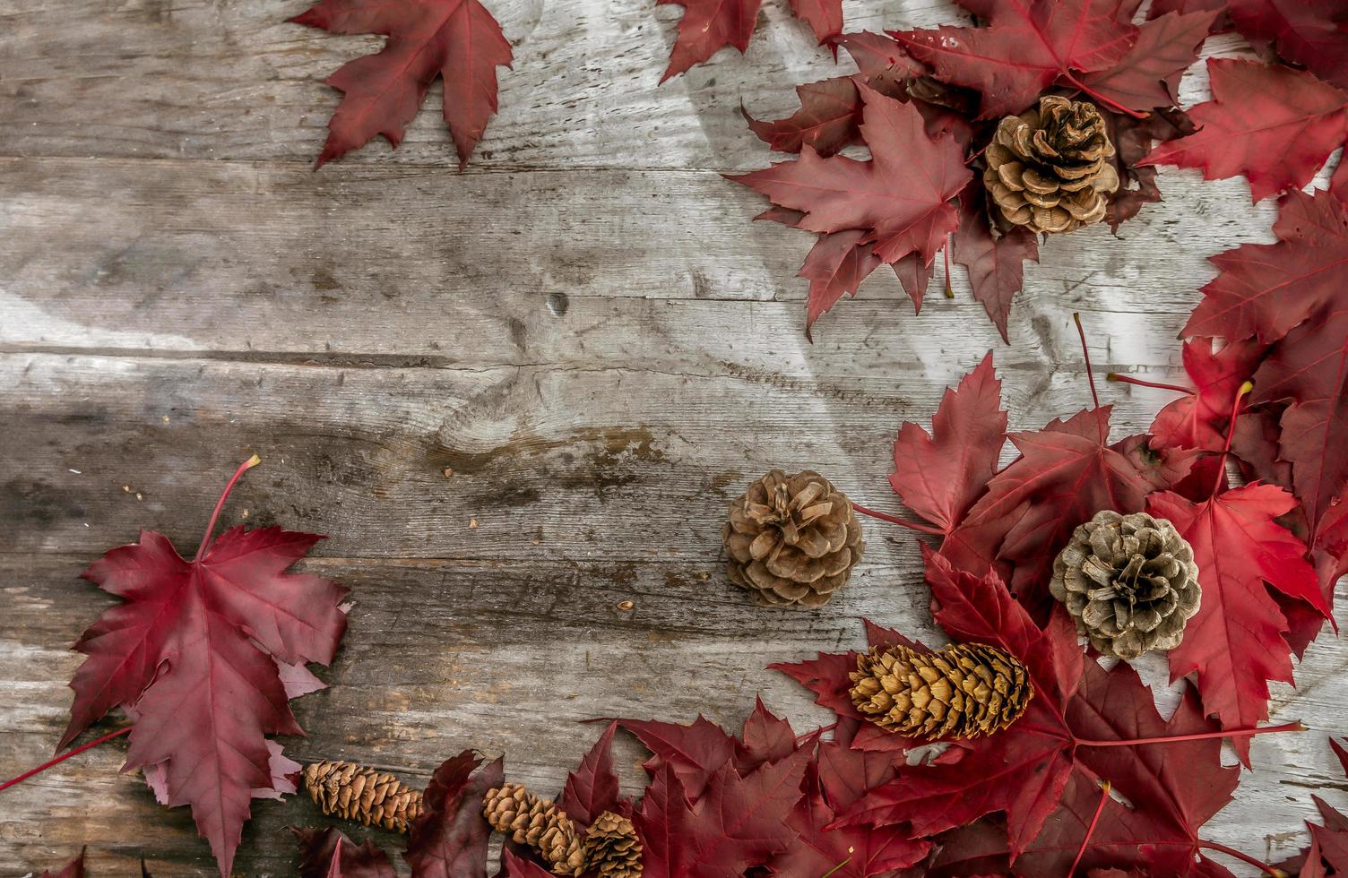 Festive autumn decor from pumpkins, pine and leaves on a  wooden background. Concept of Thanksgiving day or Halloween. Flat lay autumn composition with copy space. photo