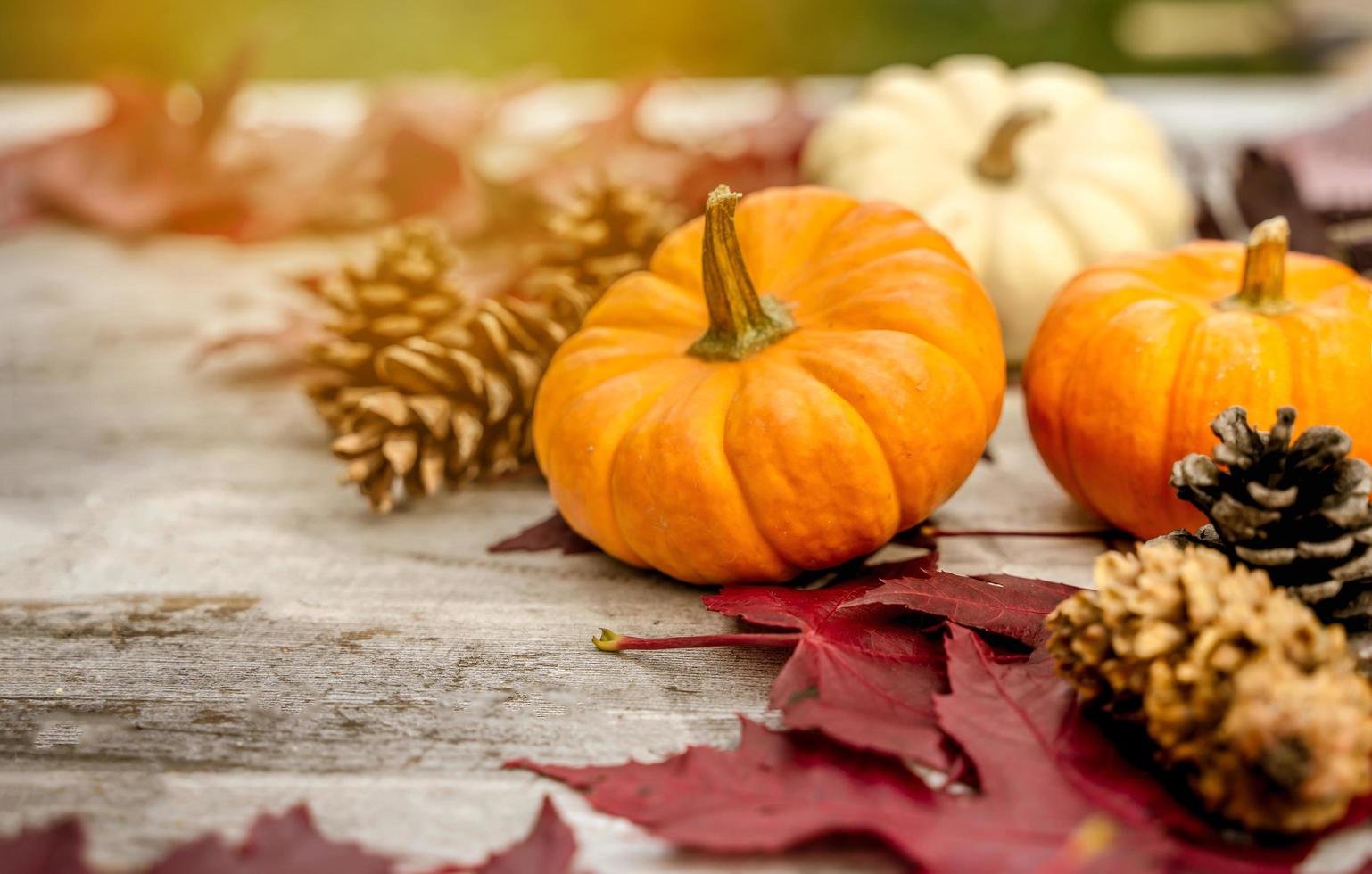 Festive autumn decor from pumpkins, pine and leaves on a  wooden background. Concept of Thanksgiving day or Halloween. Flat lay autumn composition with copy space. photo