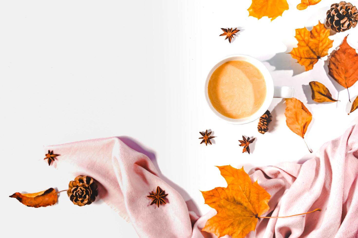 Autumn or Winter concept with pine and maple leaves, coffee cup , cinnamon, and scarf, Flat lay, top view. photo