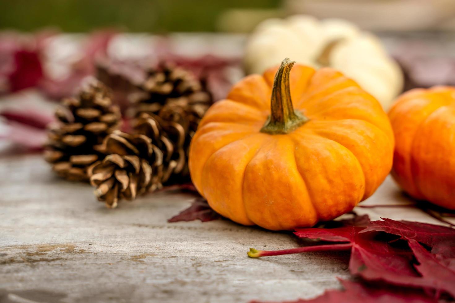 Festive autumn decor from pumpkins, pine and leaves on a  wooden background. Concept of Thanksgiving day or Halloween. Flat lay autumn composition with copy space. photo