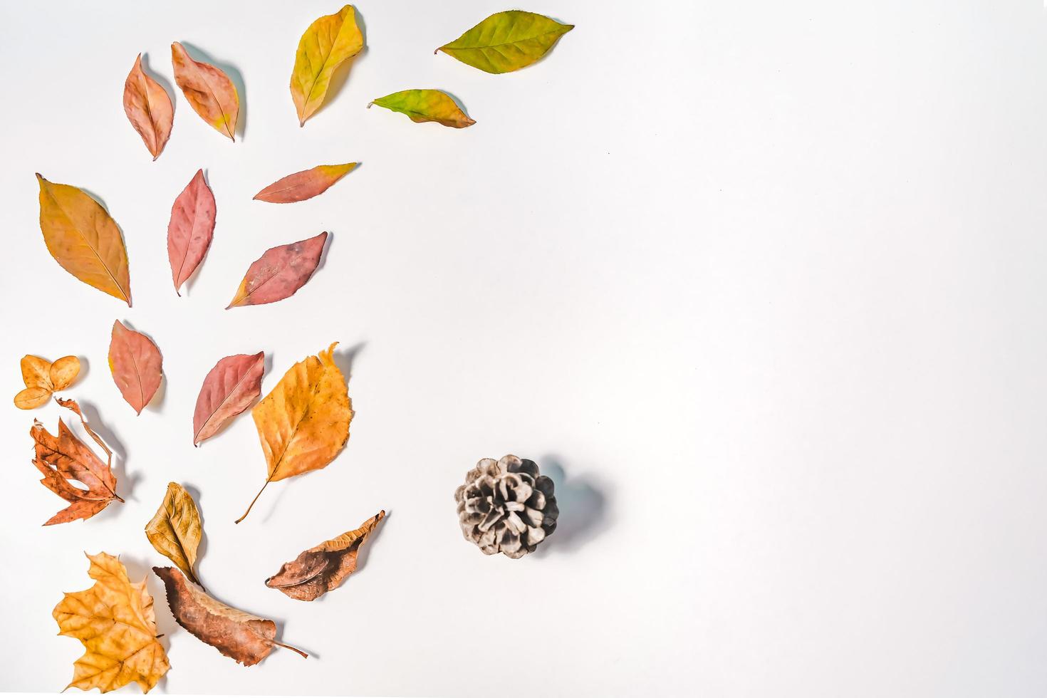 Autumn or Winter concept with pine and maple leaves, coffee cup , cinnamon, and scarf, Flat lay, top view. photo