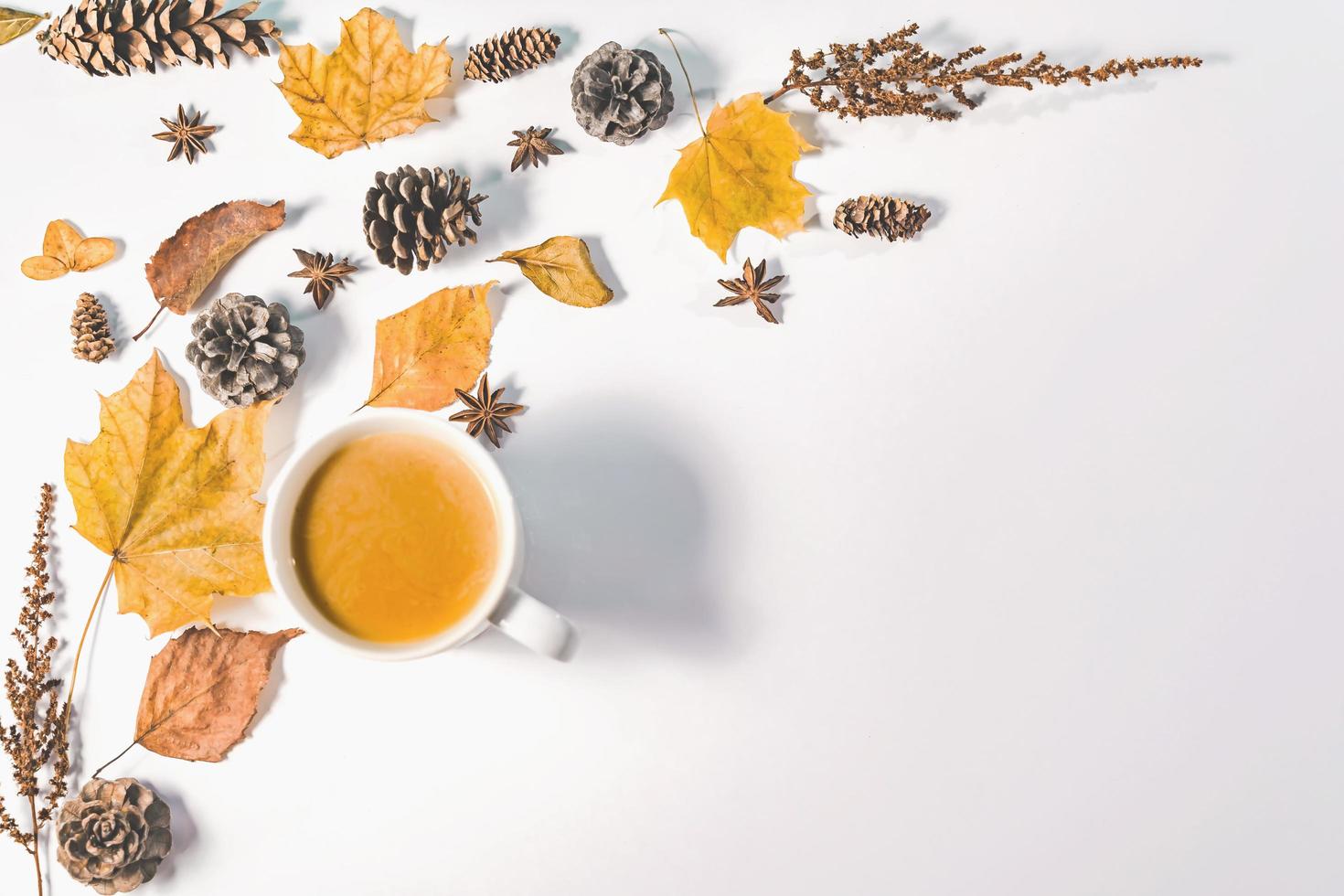 Autumn or Winter concept with pine and maple leaves, coffee cup , cinnamon, and scarf, Flat lay, top view. photo