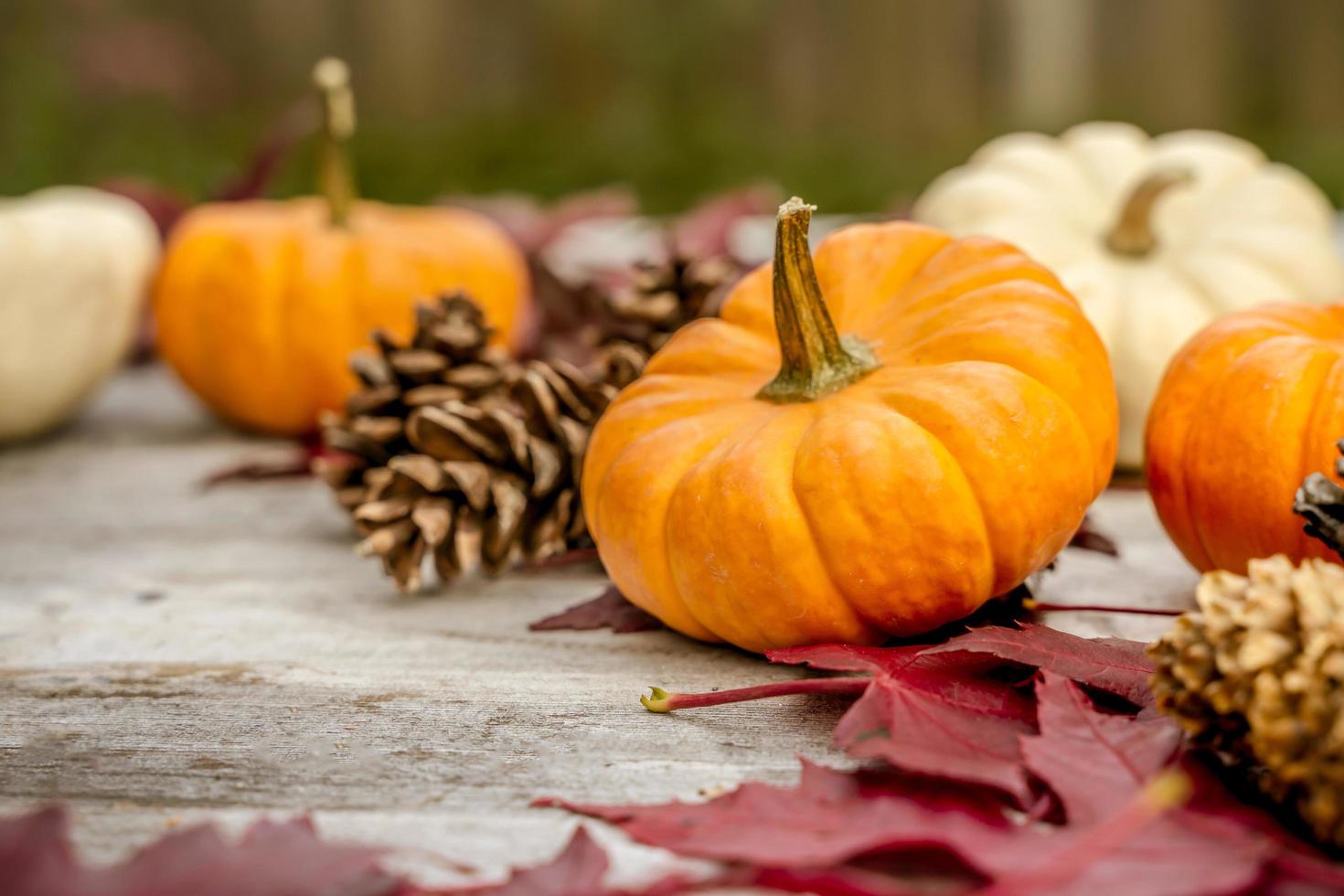 Festive autumn decor from pumpkins, pine and leaves on a  wooden background. Concept of Thanksgiving day or Halloween. Flat lay autumn composition with copy space. photo