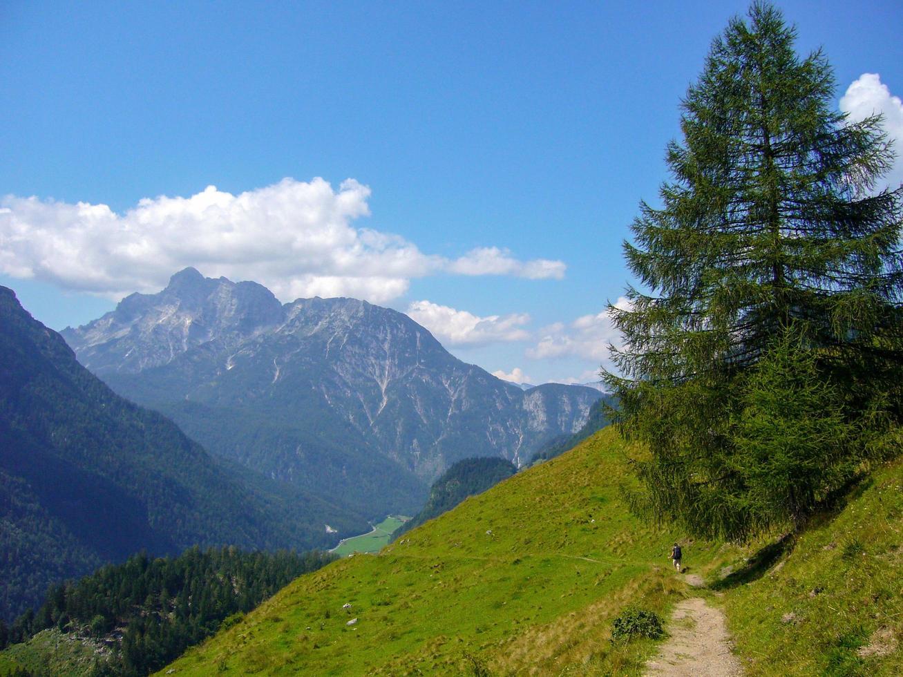 beautiful nature scenery at kallbrunn alm, austria photo