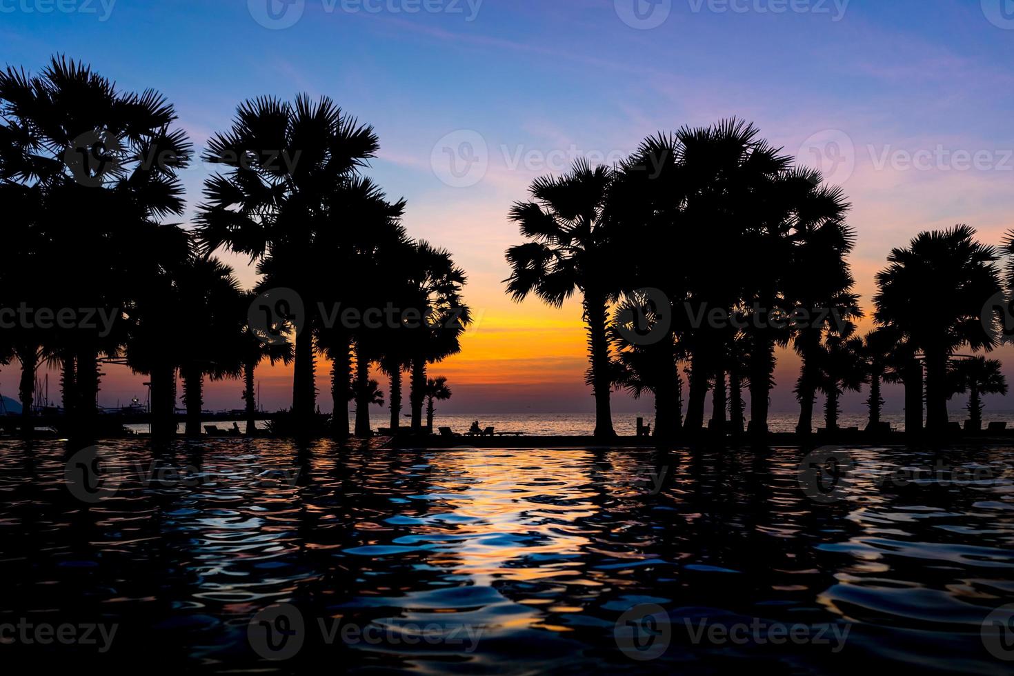 Beautiful Sunset at seaside with palm trees, water reflection. selective focus photo
