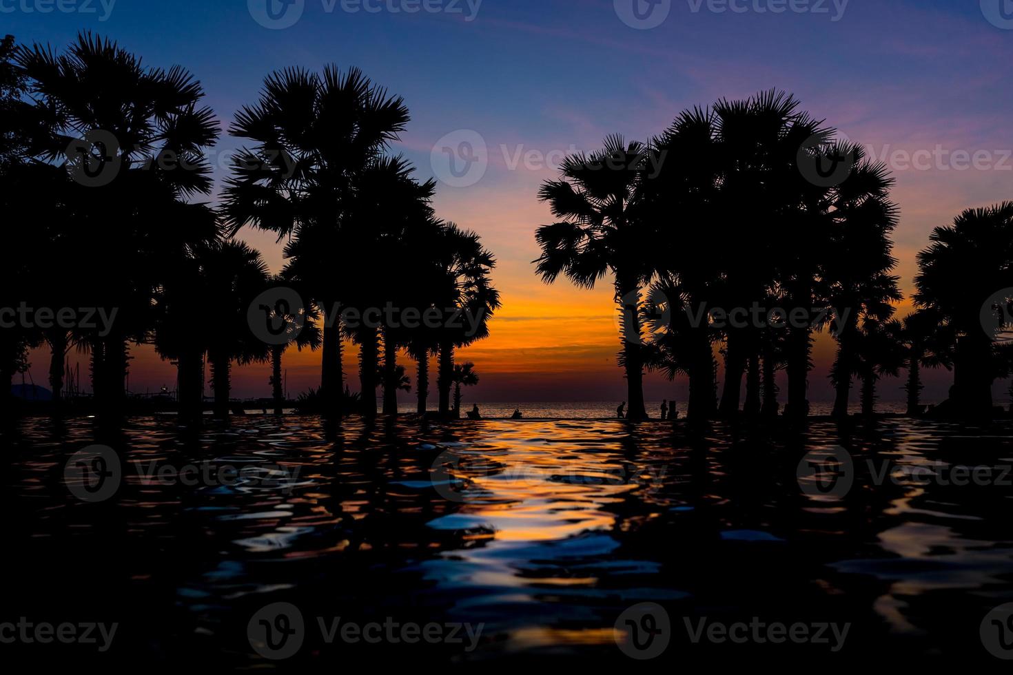 Beautiful Sunset at seaside with palm trees, water reflection. selective focus photo