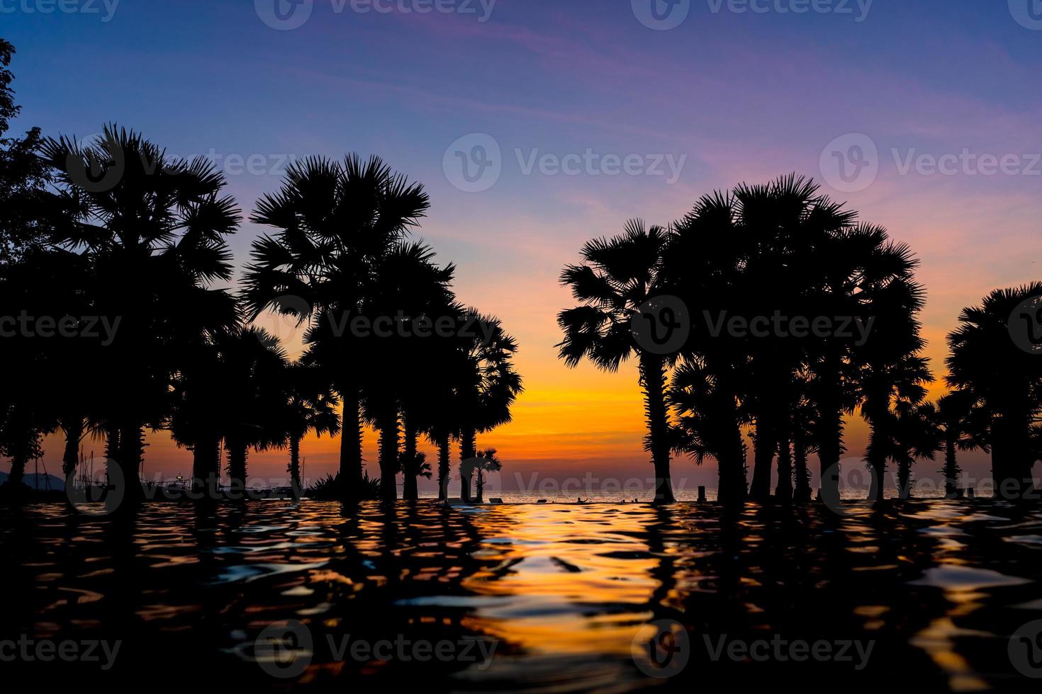 Beautiful Sunset at seaside with palm trees, water reflection. selective focus photo
