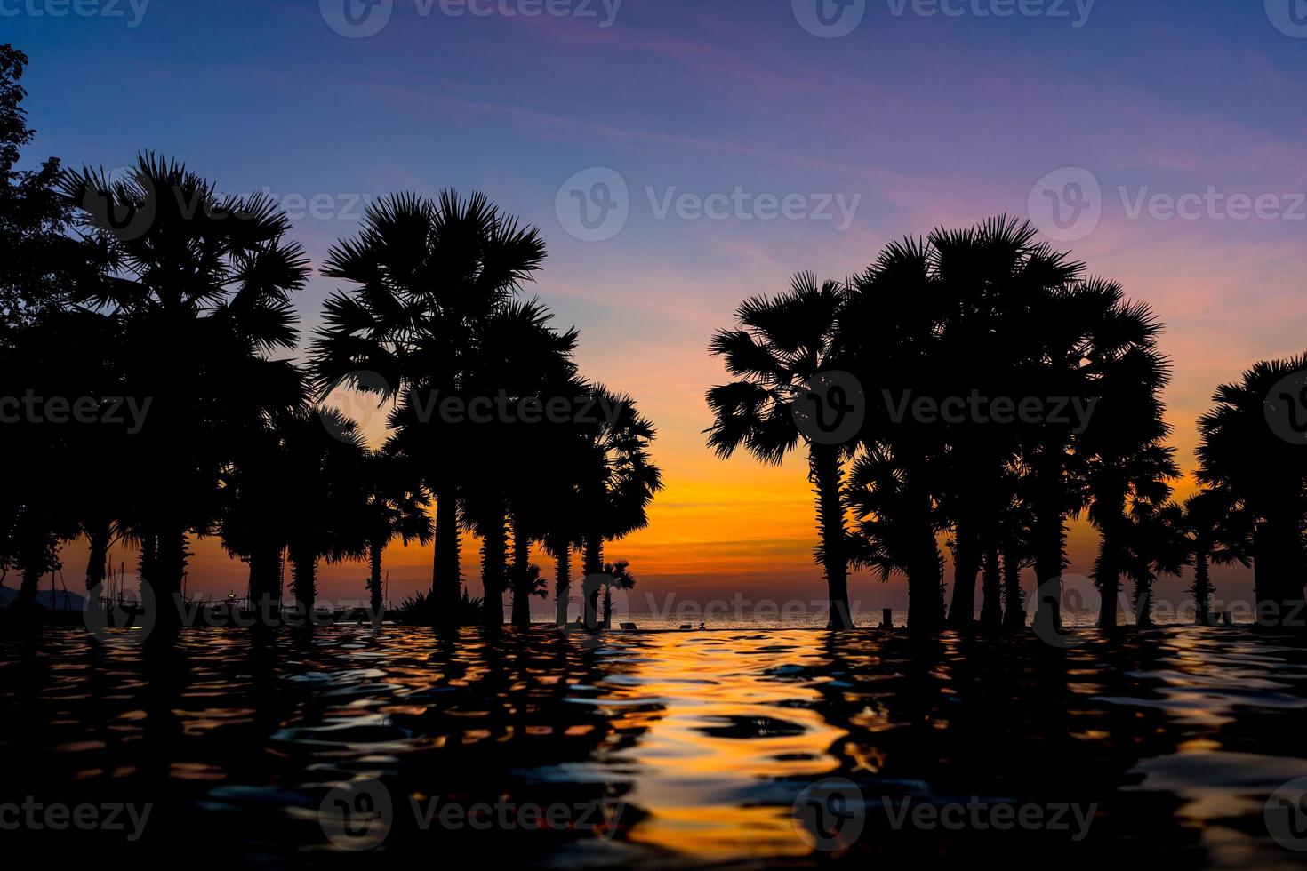 Beautiful Sunset at seaside with palm trees, water reflection. selective focus photo