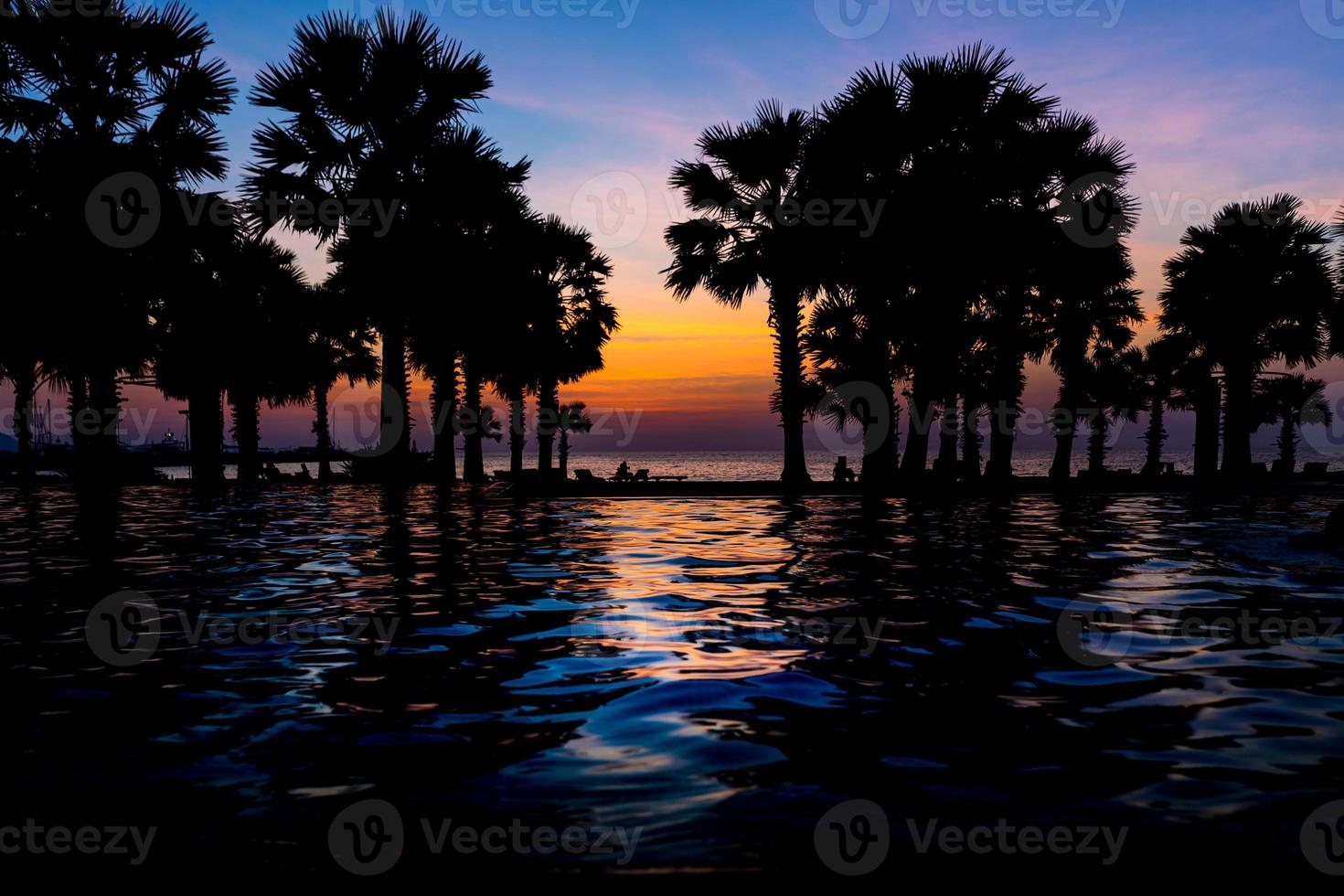 Beautiful Sunset at seaside with palm trees, water reflection. selective focus photo