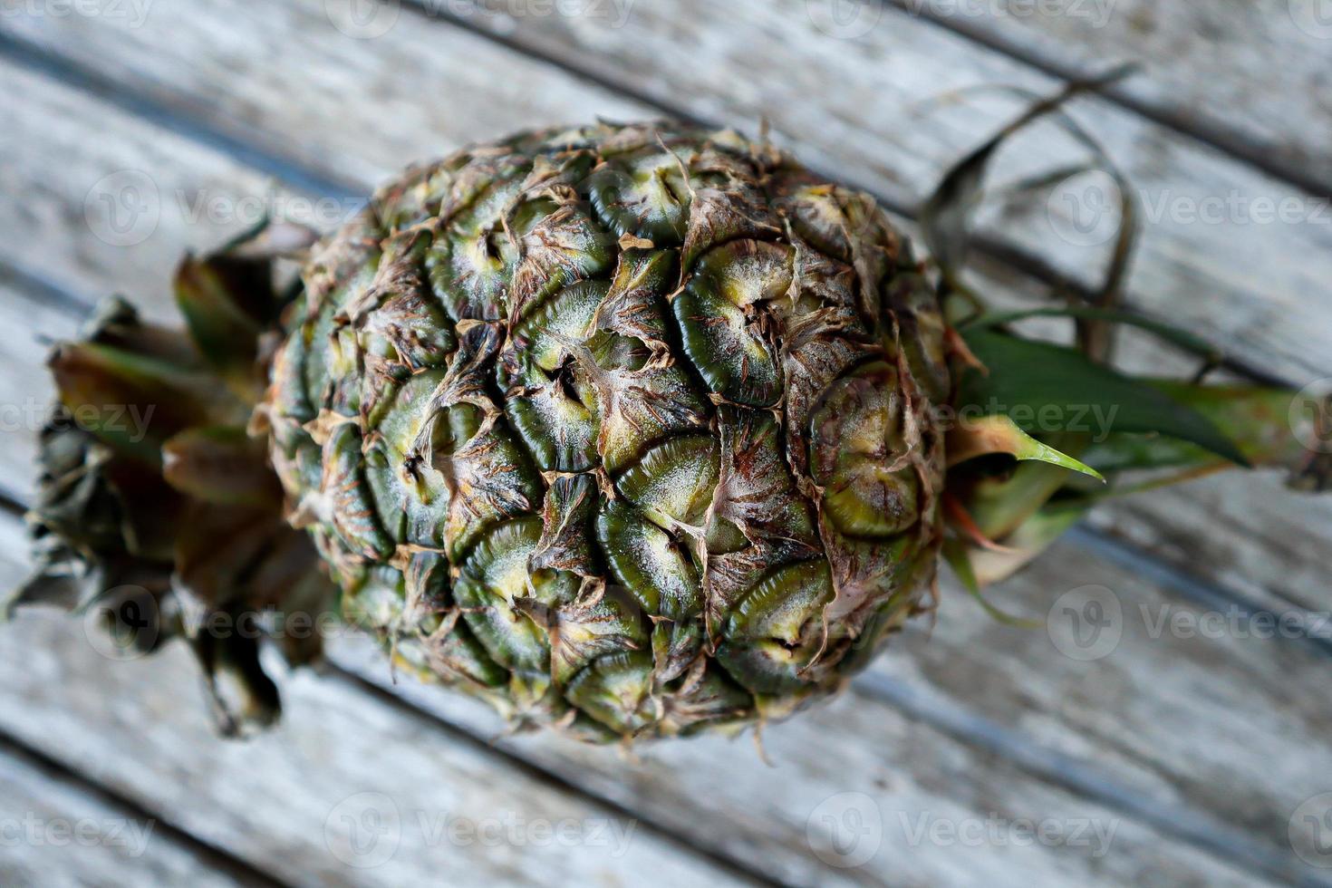 Close up of a pineapple photo