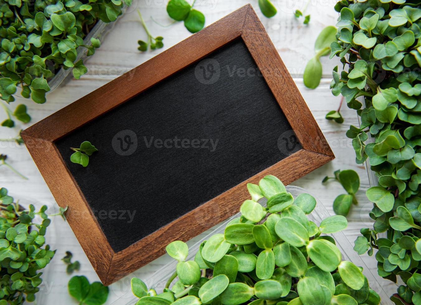 Chalk blackboard with micro greens photo