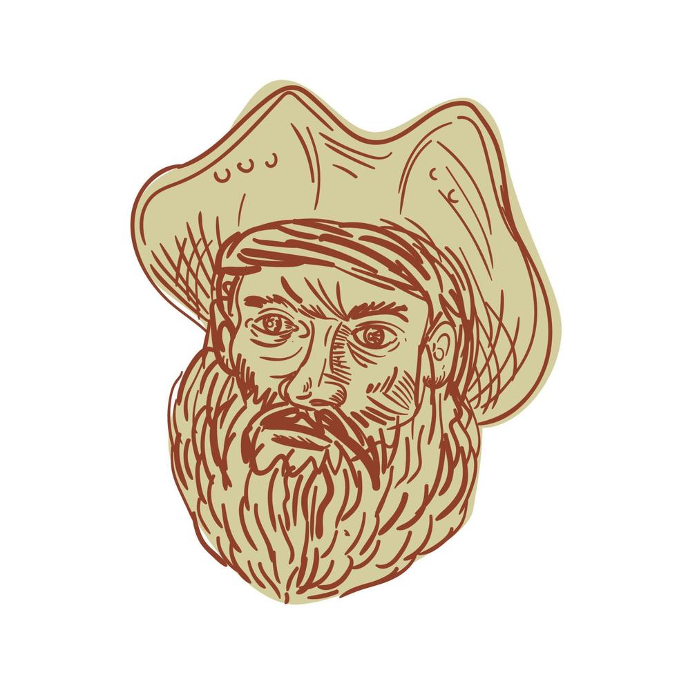 Pirate Head Beard Drawing vector