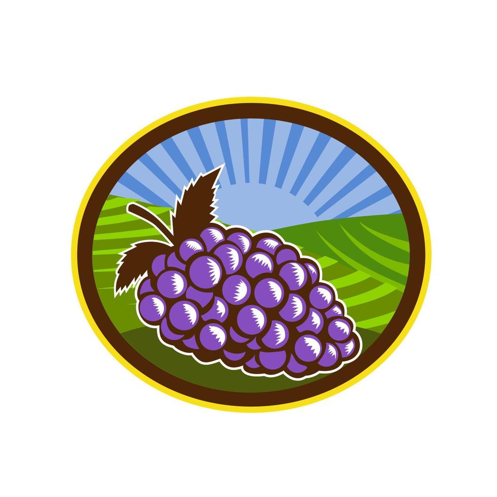 Grapes Vineyard Farm Oval Woodcut vector