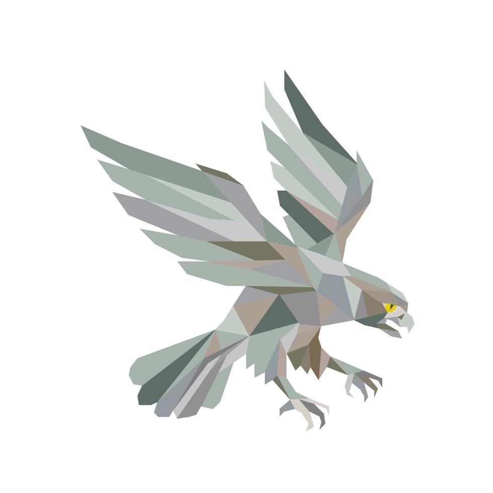 halcón peregrino picada gris bajo polígono vector