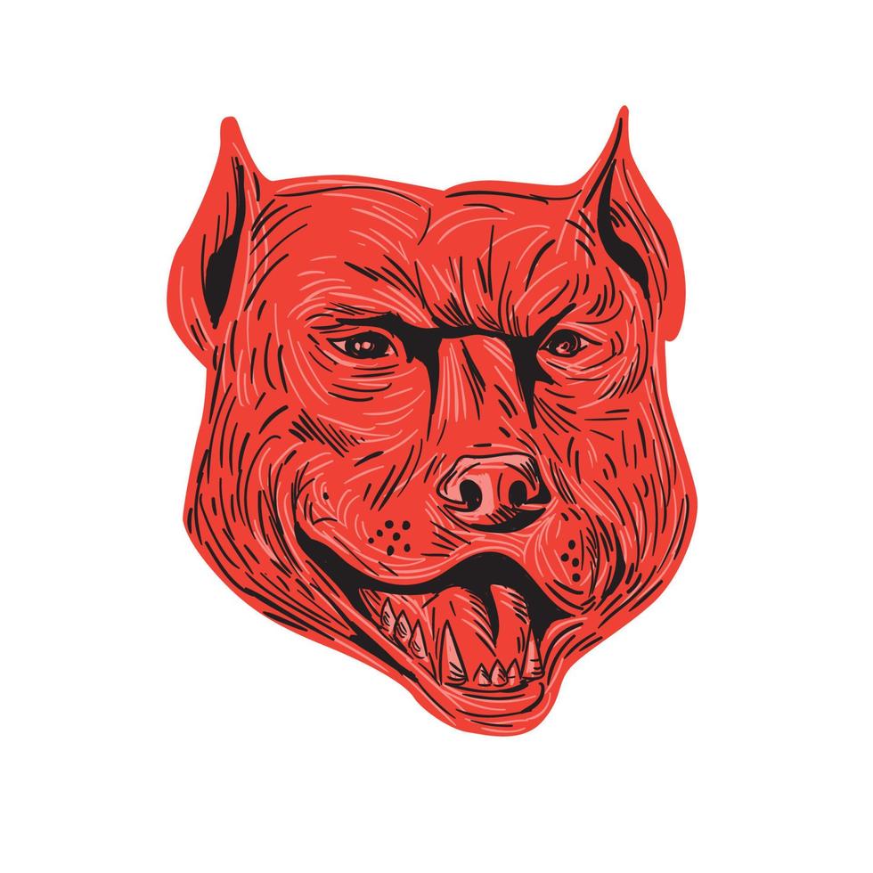 Pitbull Dog Mongrel Head Drawing vector