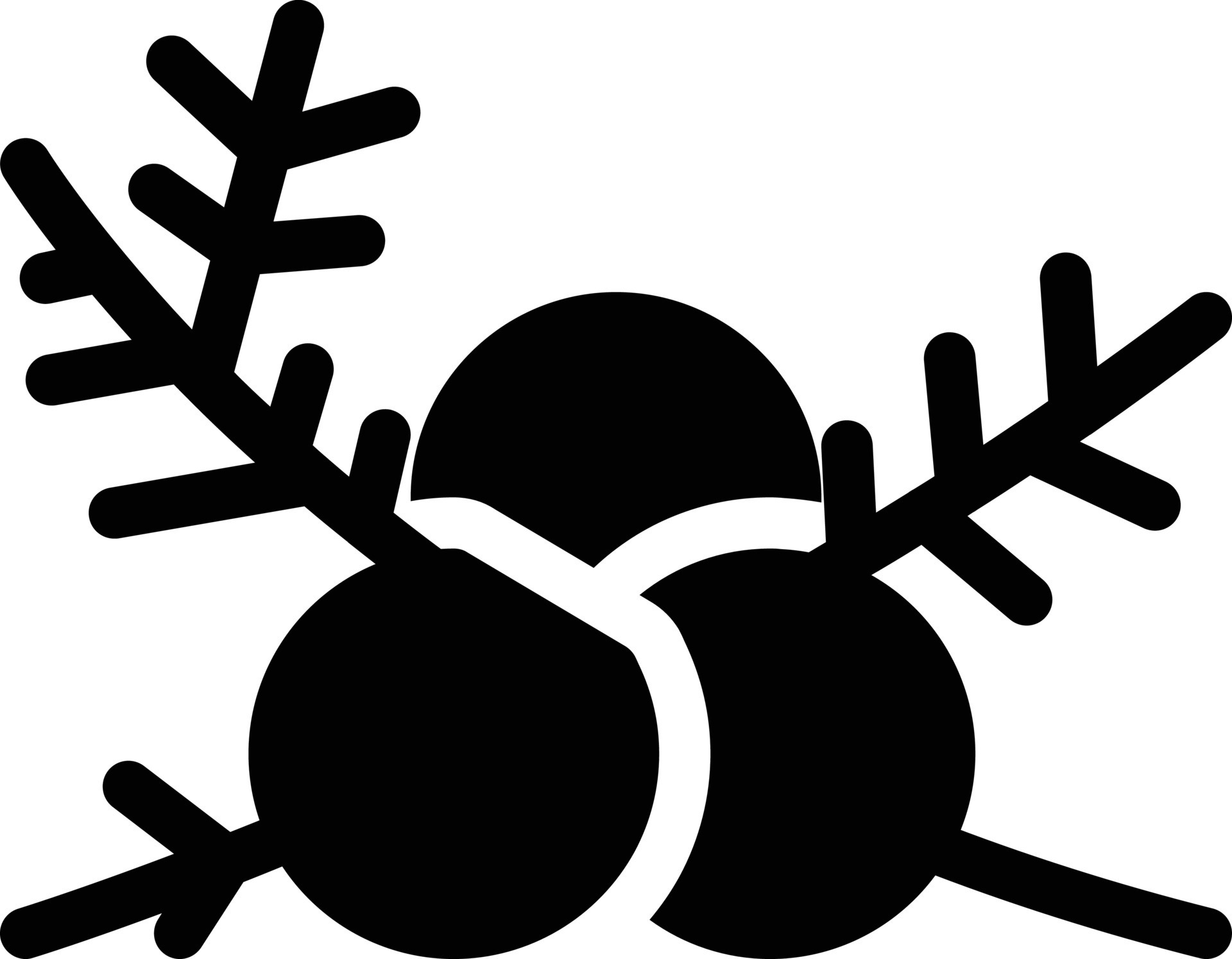 juniper vector illustration on a background.Premium quality symbols