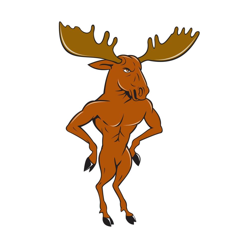 Moose Standing Hands Akimbo Cartoon vector