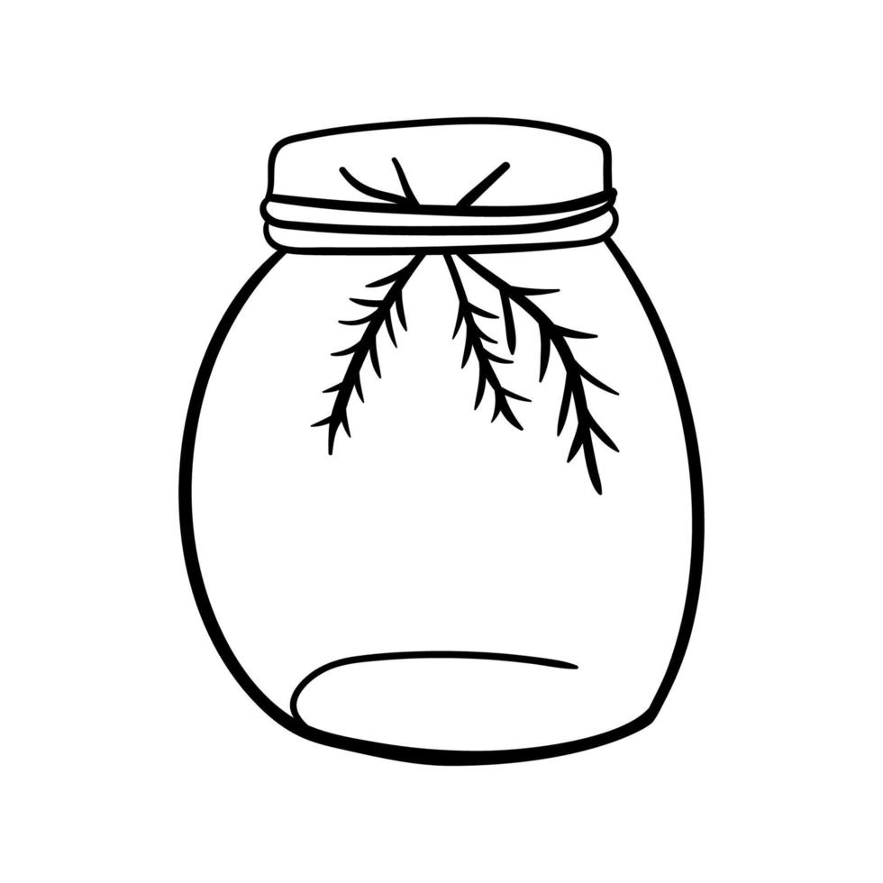 Hand Drawn Mason Jar. Sketch Jar with lid. Vector outline doodle illustration isolated on white